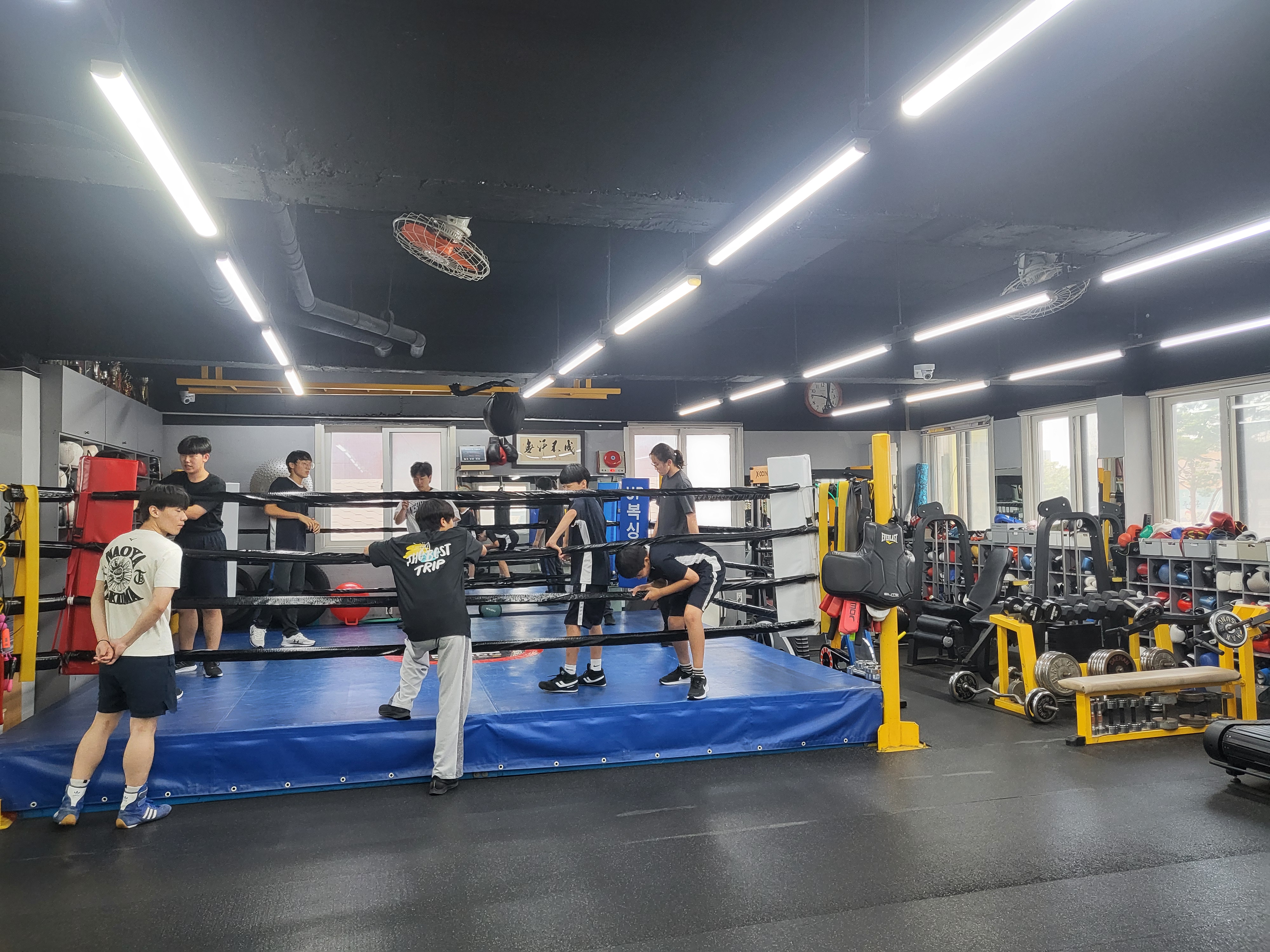 충청남도 천안시 동남구 복싱체육관 UP복싱클럽 내부 모습 4
