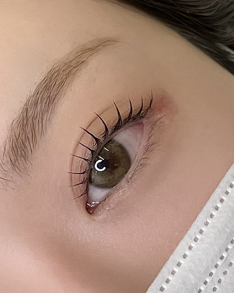 요야래쉬 대표 이미지