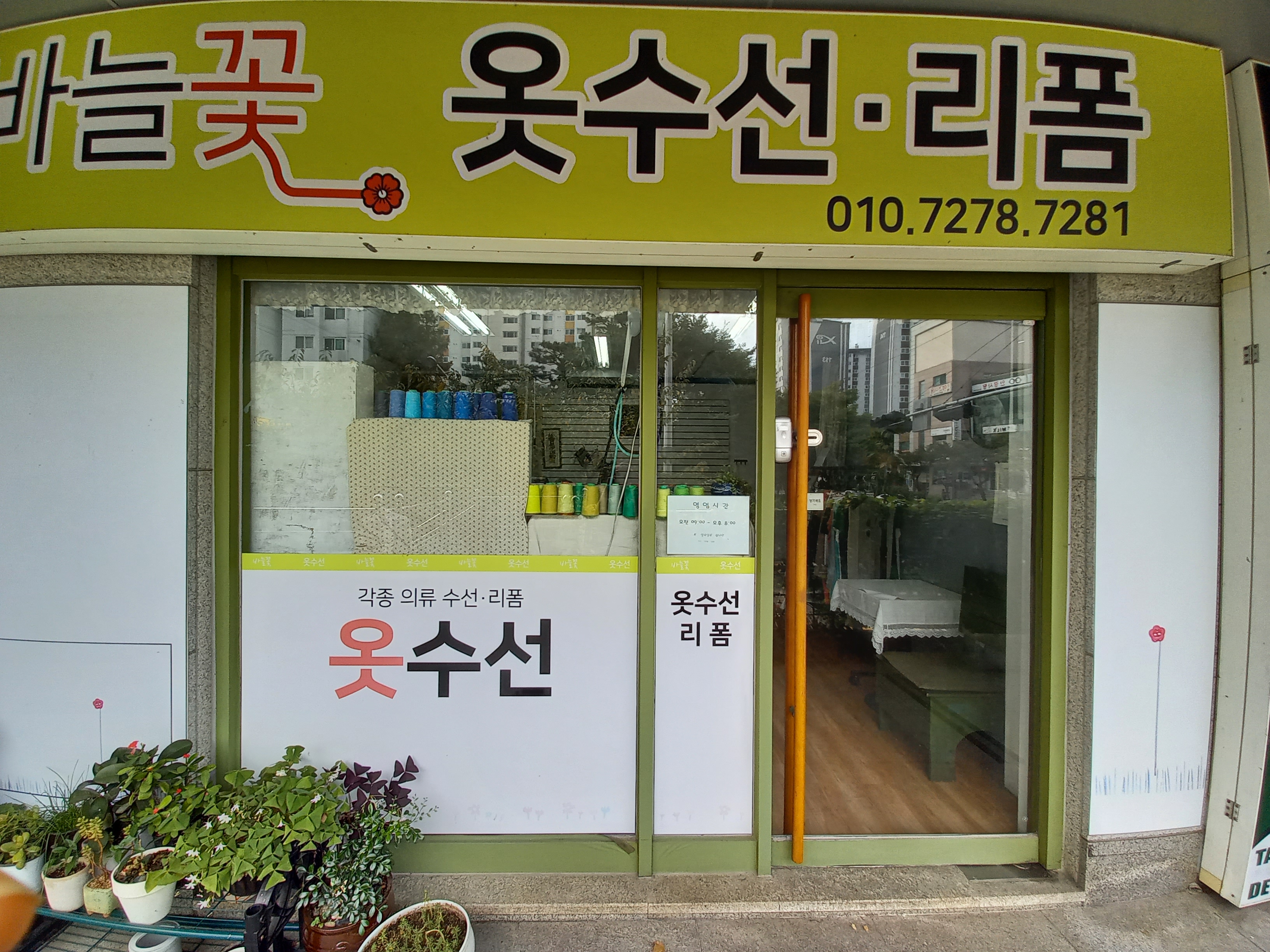 바늘꽃