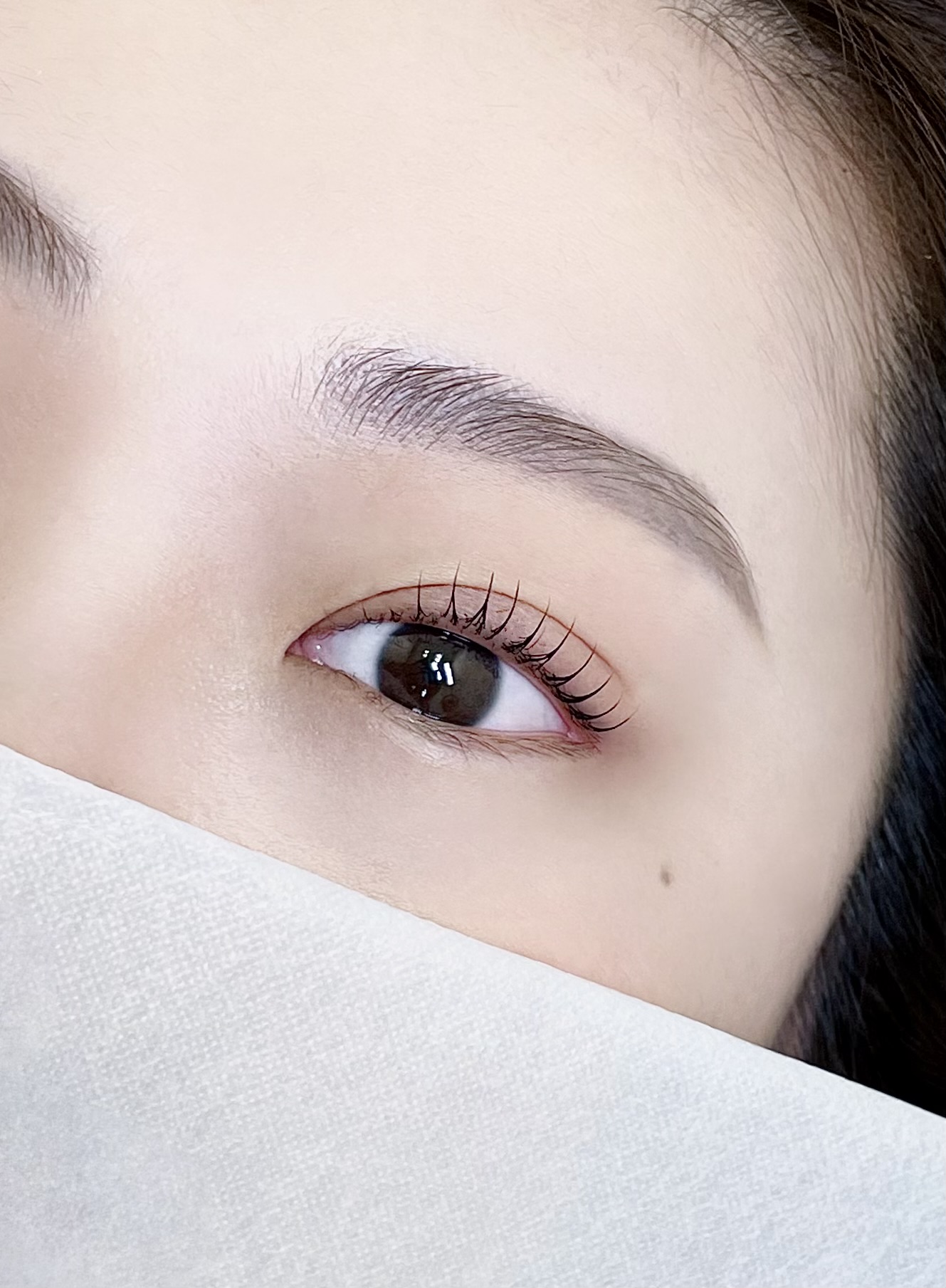 모니드 대표 이미지