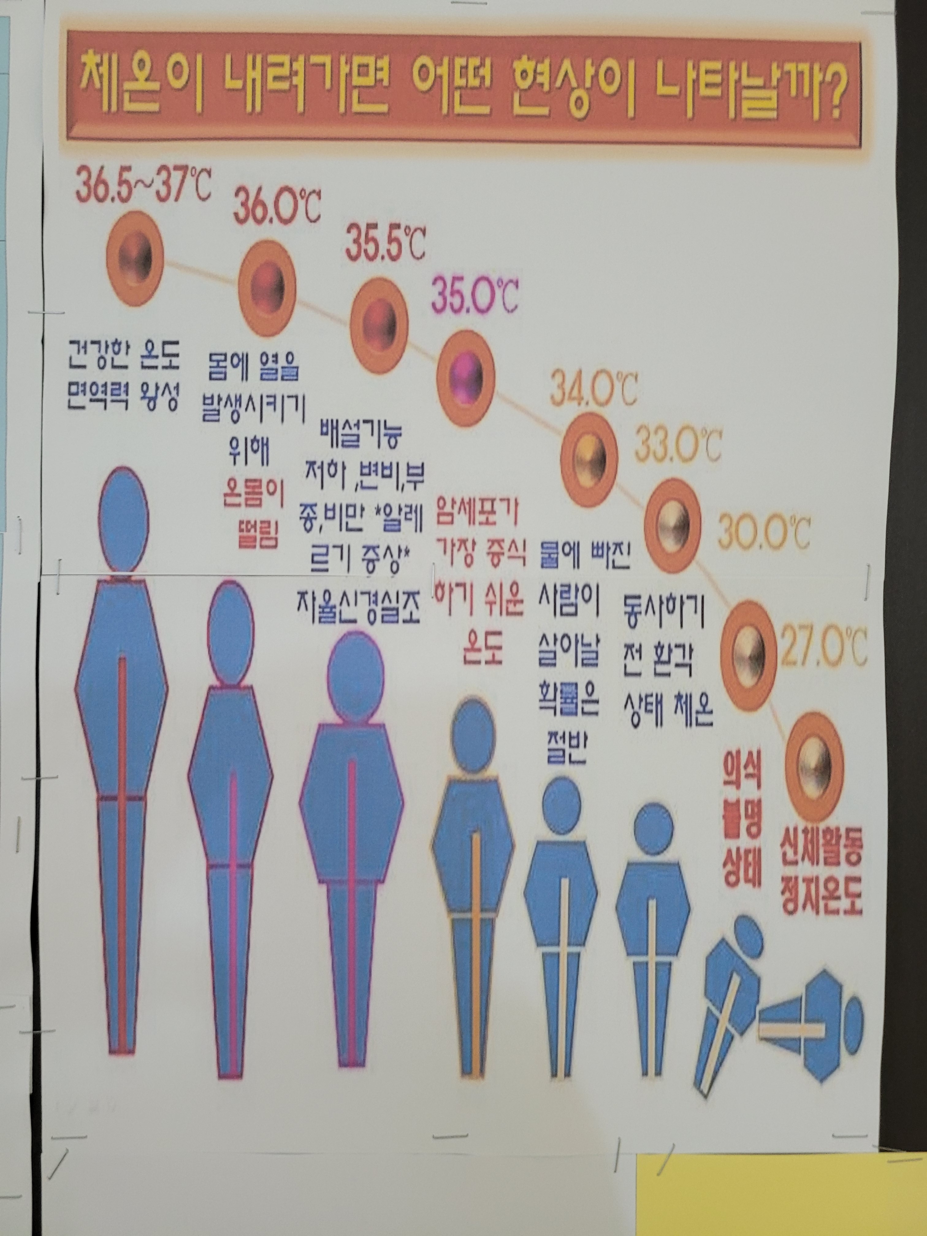 동안힐링테라피