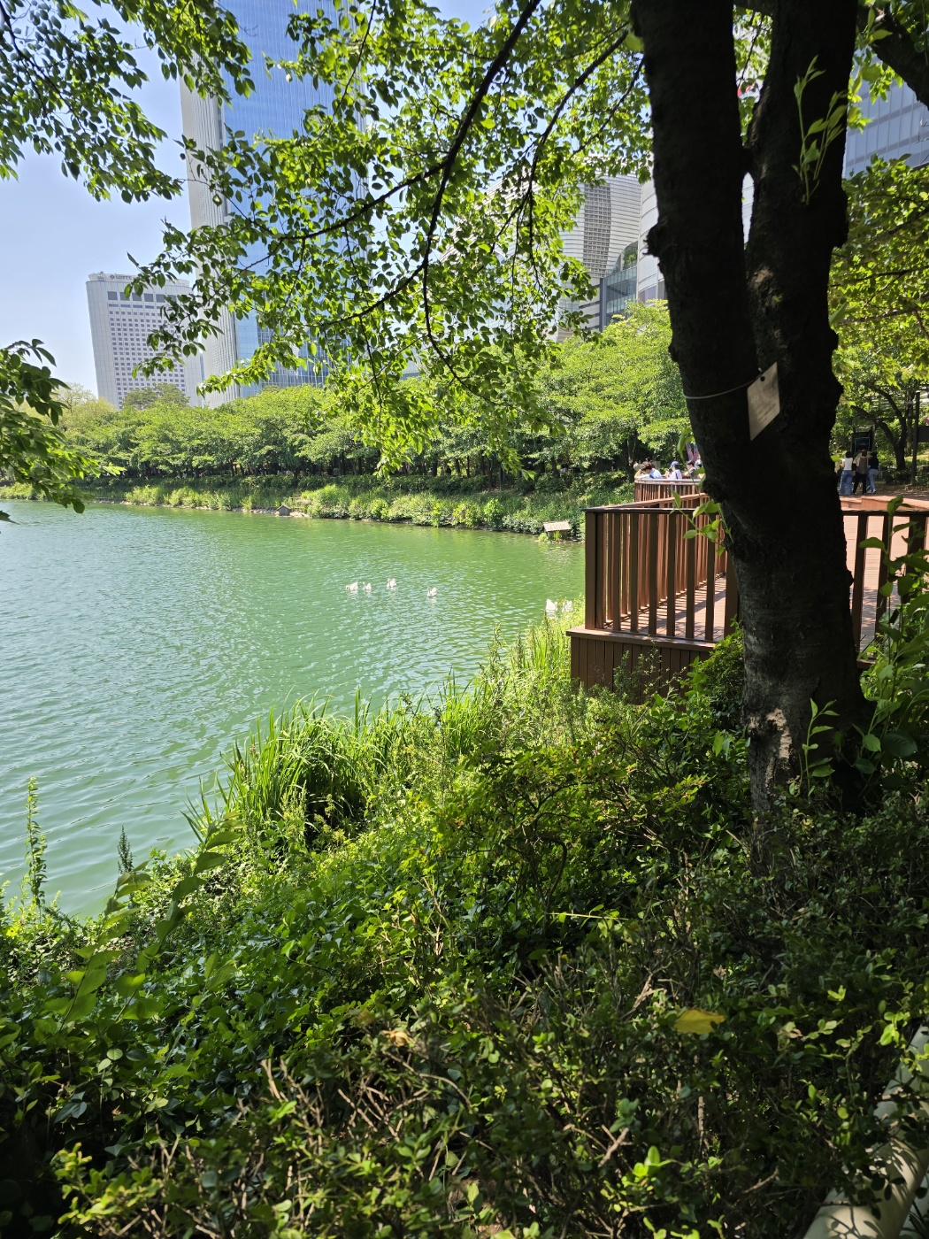 세무법인정윤 잠실지점
