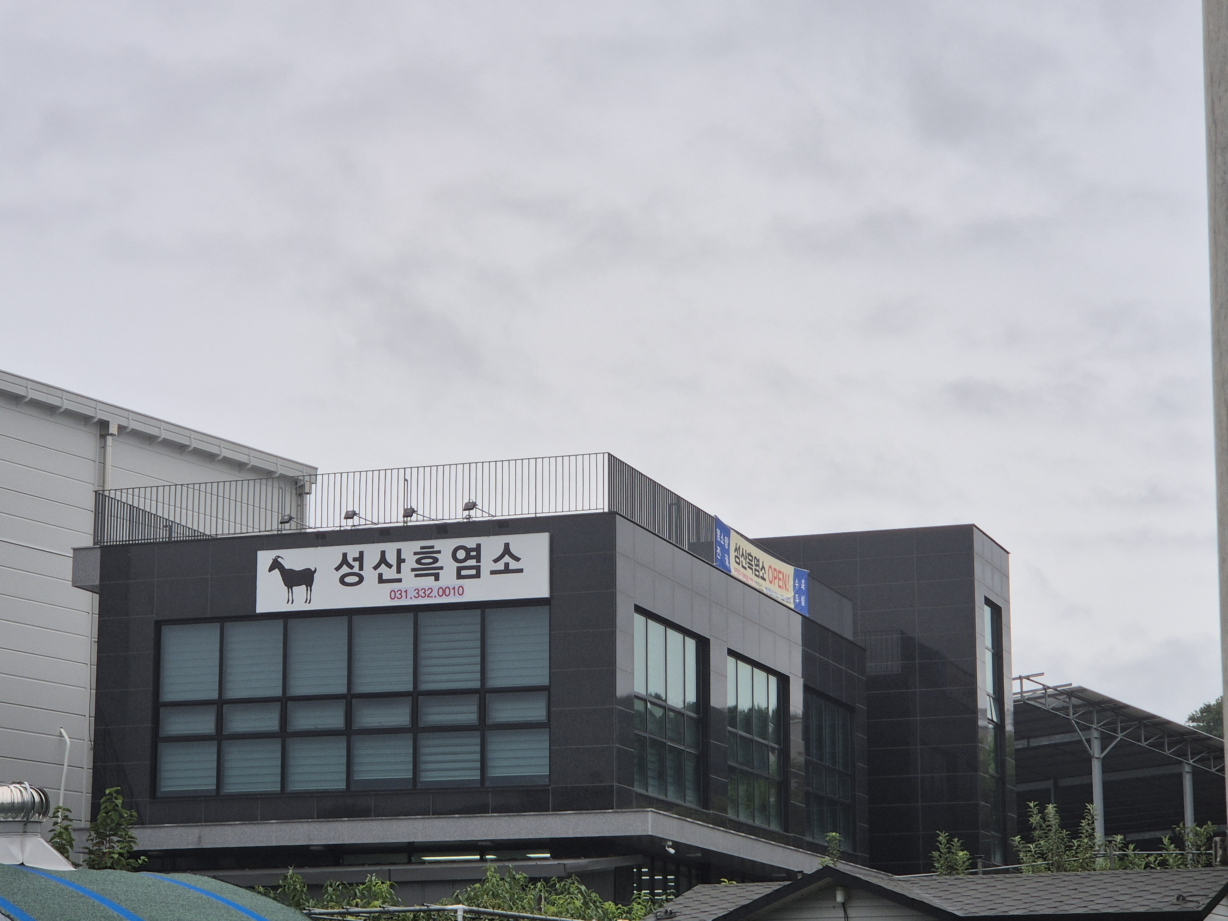 성산흑염소