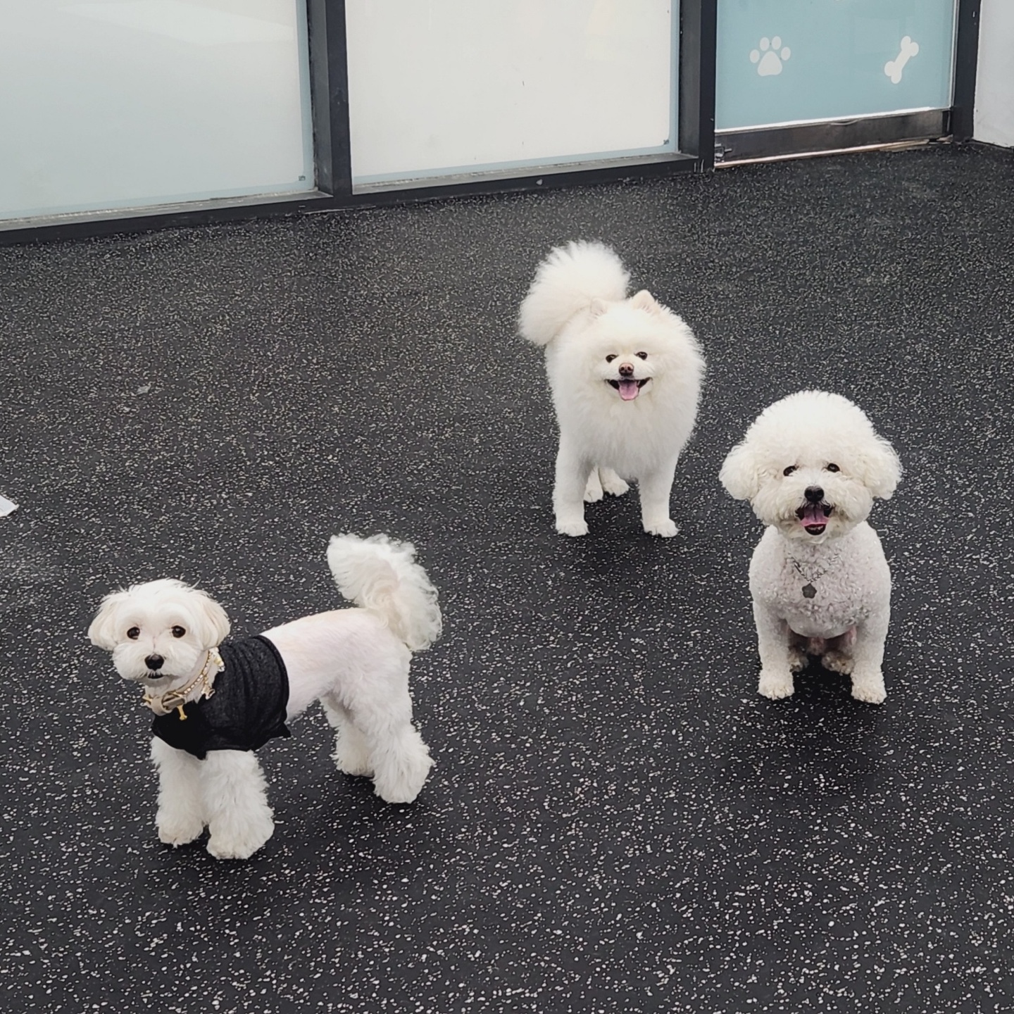멍핏스튜디오 대표 이미지
