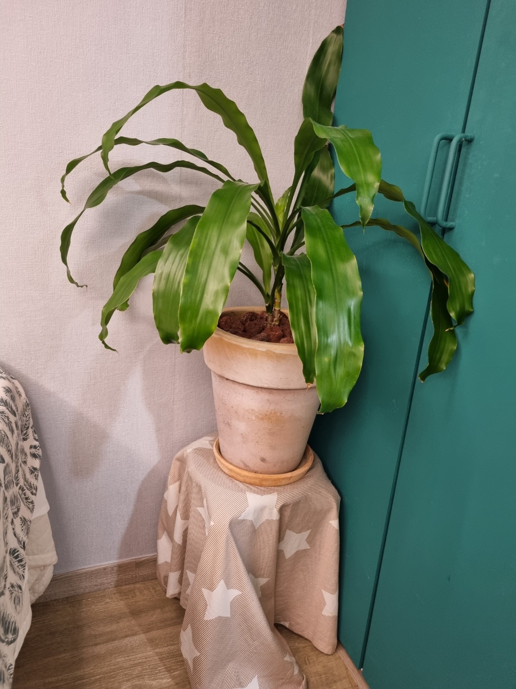 소통테라피 마사지 건대 photo 10