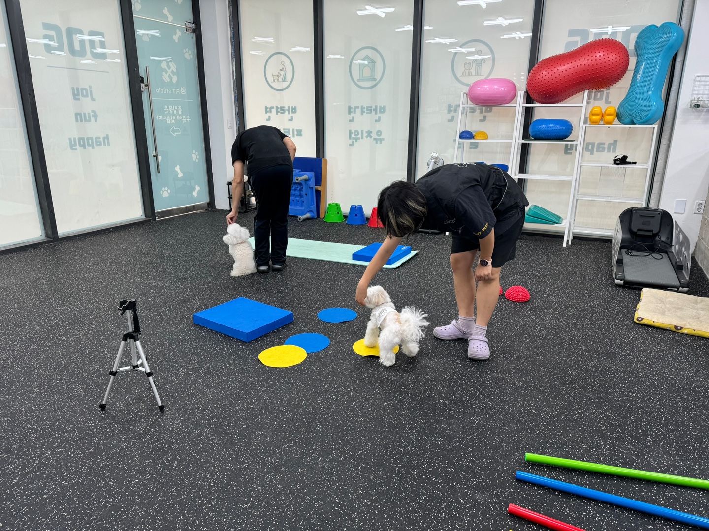 멍핏스튜디오 대표 이미지