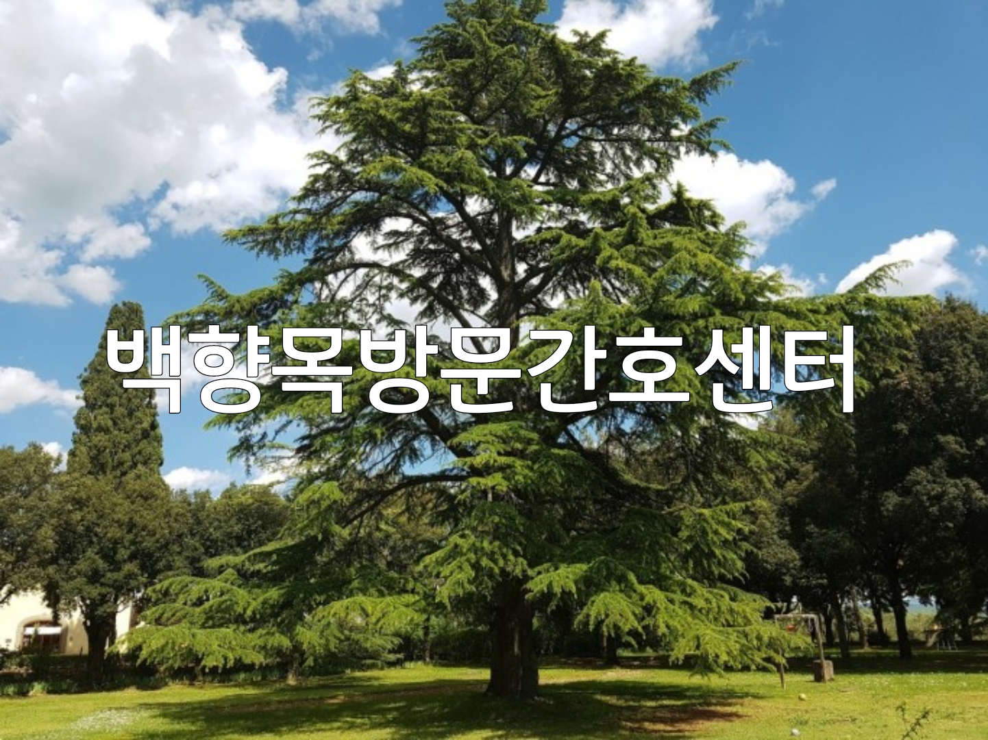 백향목방문간호센터