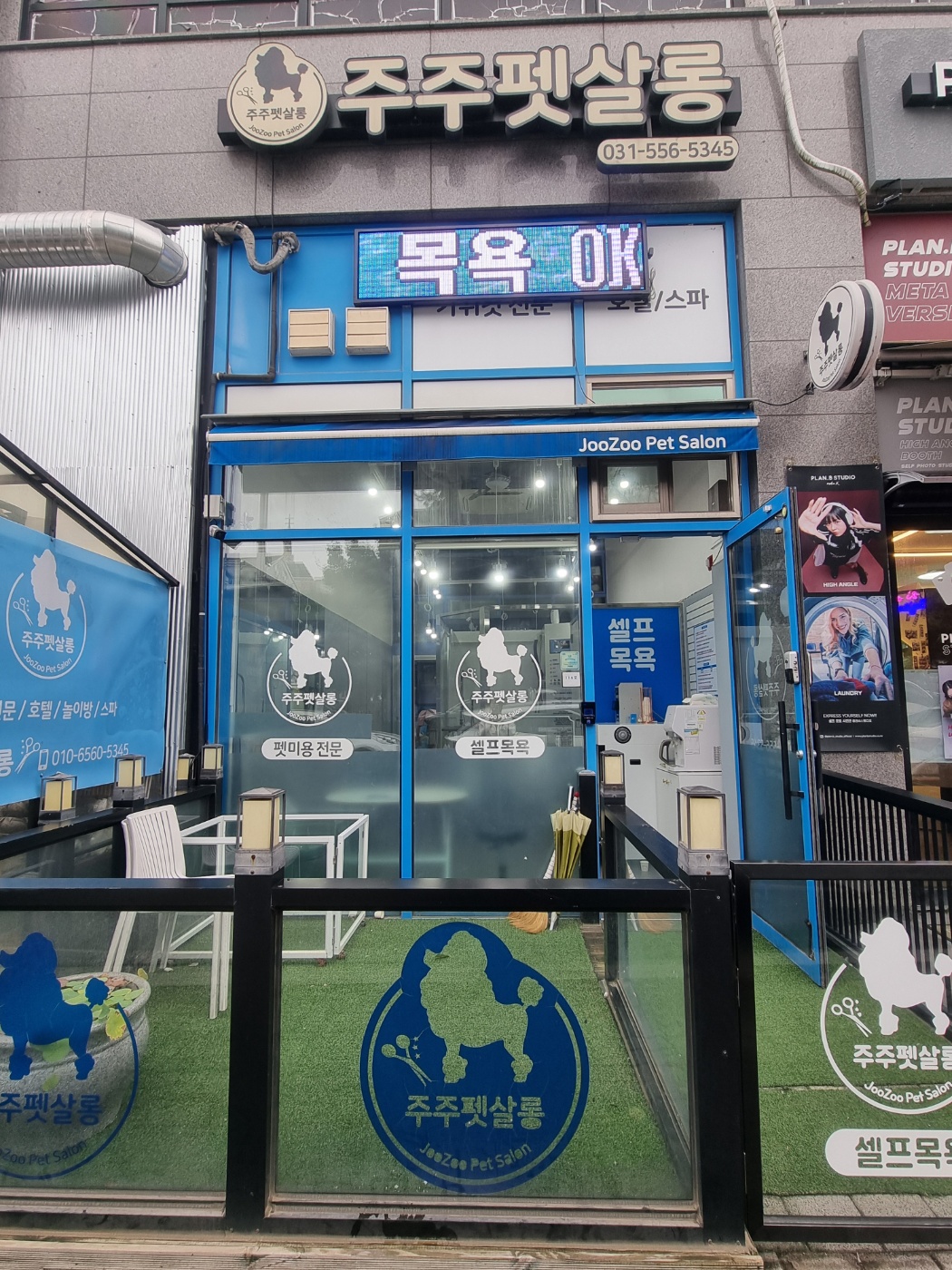 주주펫살롱