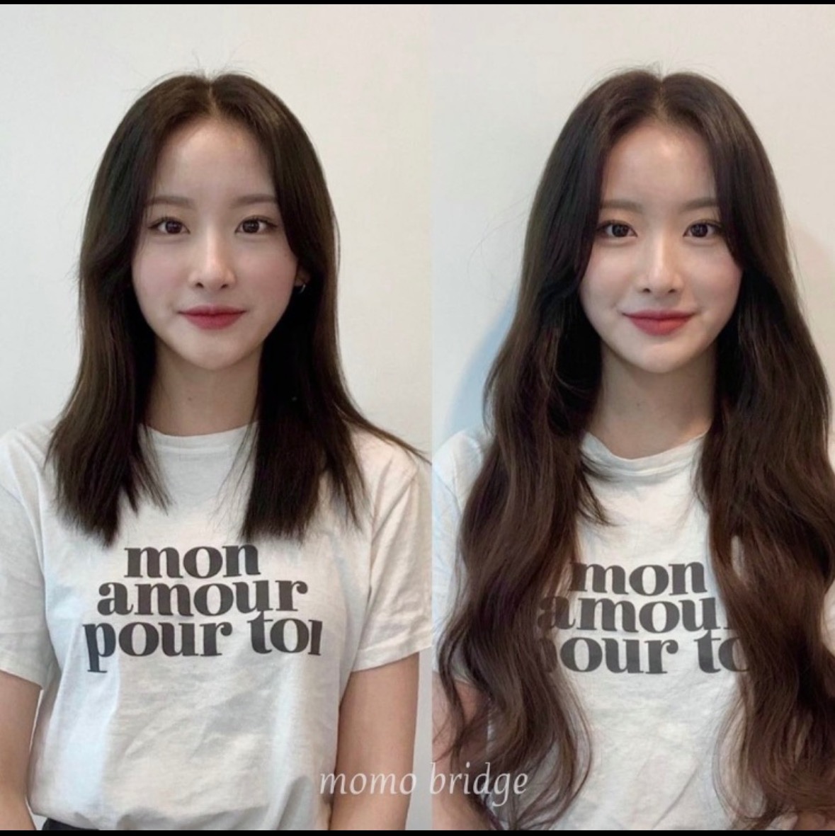 대구붙임머리 모모브릿지