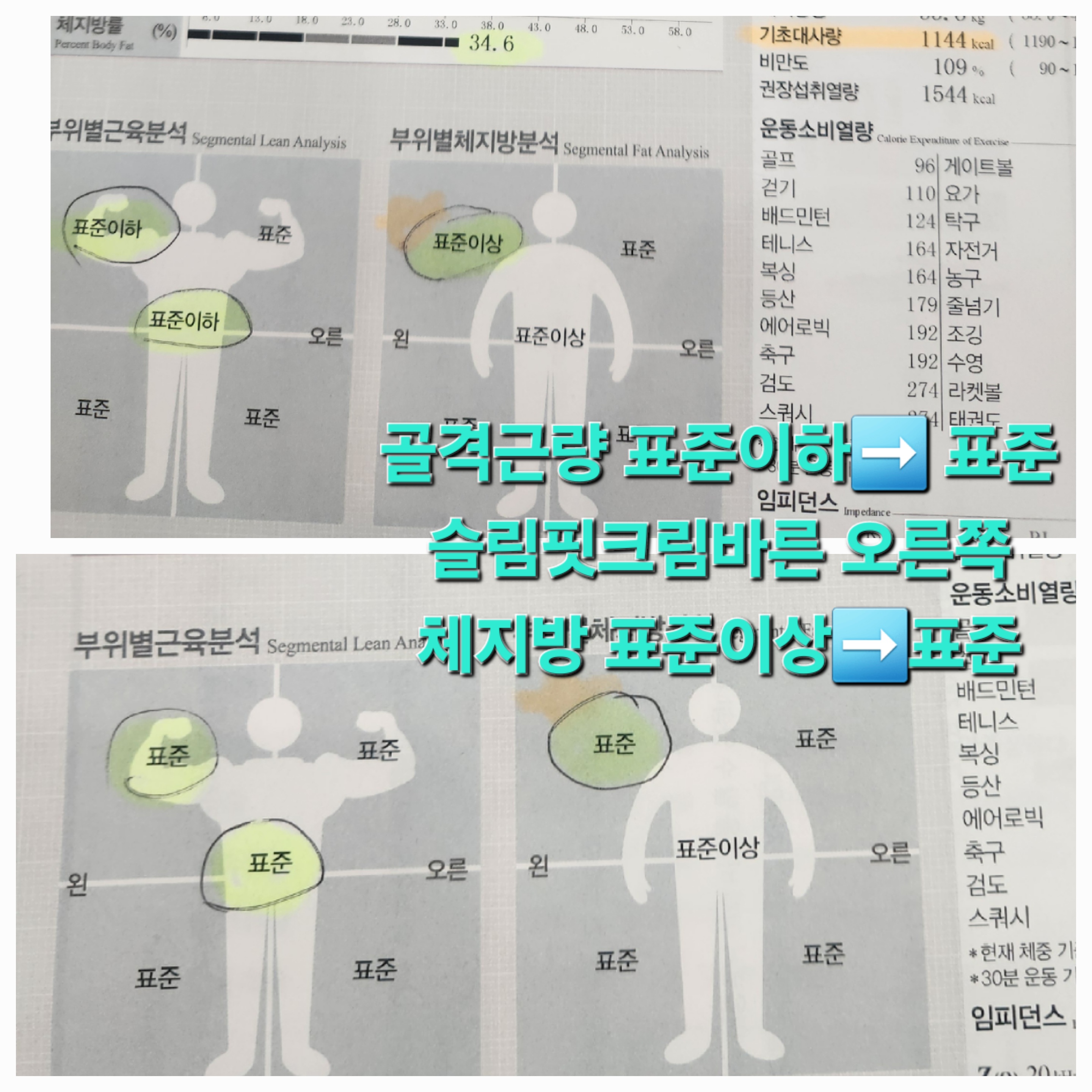 셀포랩 스타