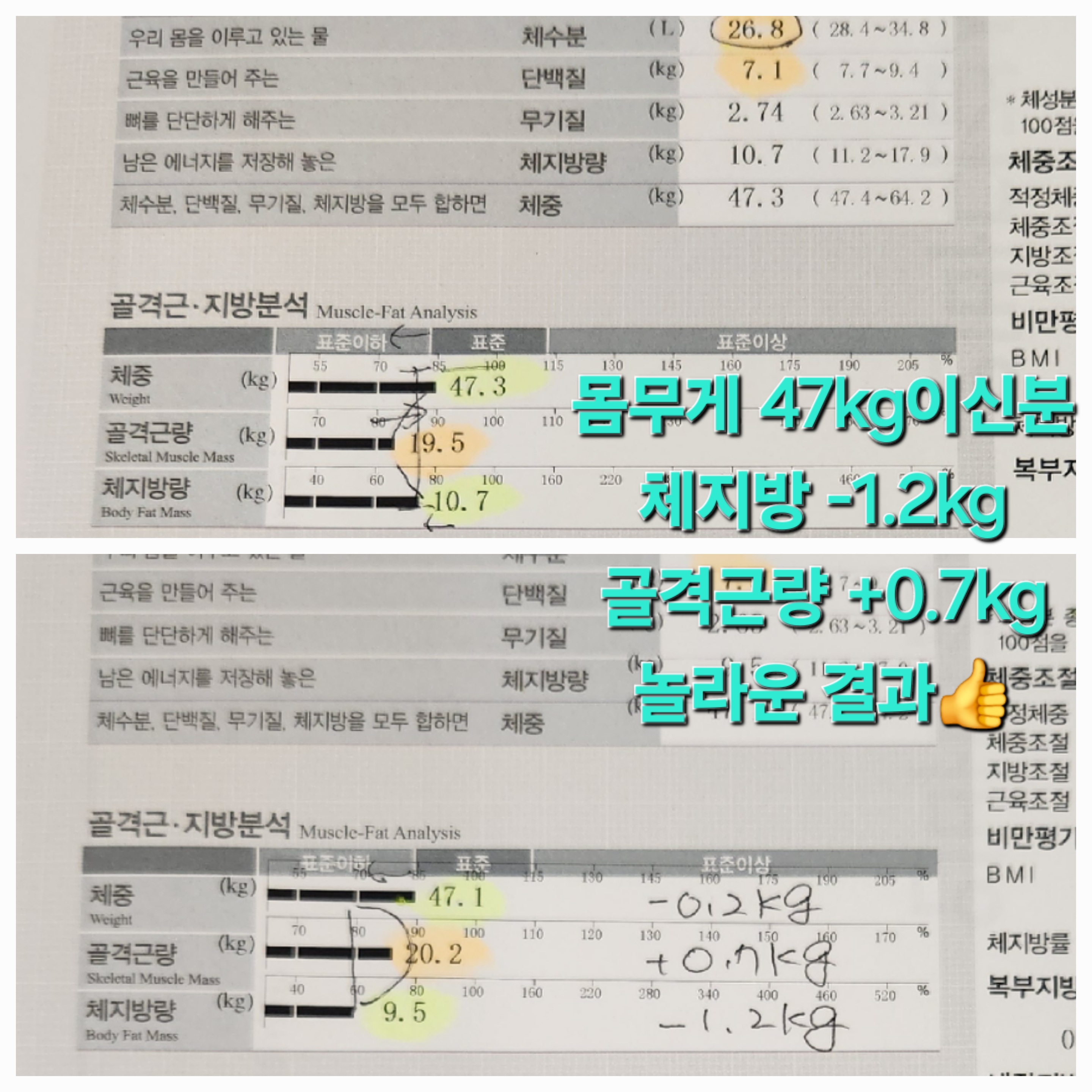 셀포랩 스타