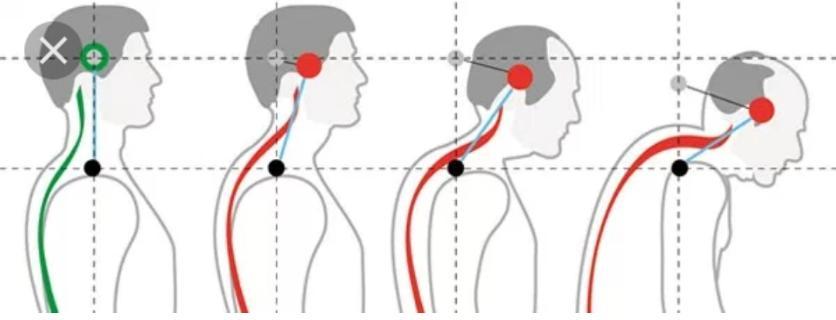 숲테라피 가산점 대표 이미지