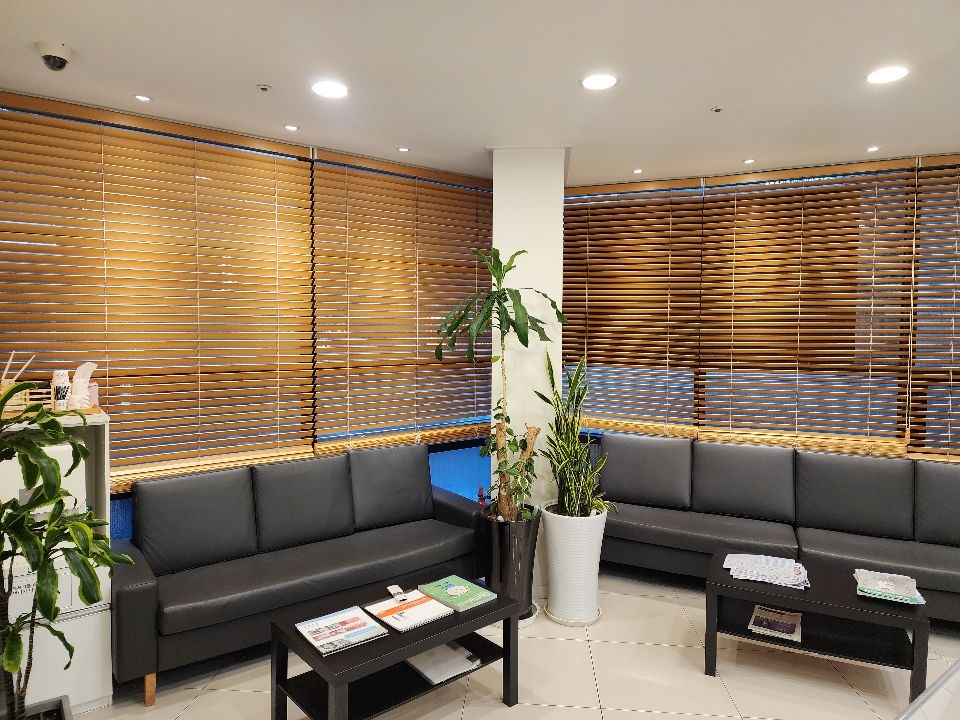 연세성민제치과의원 대표 이미지