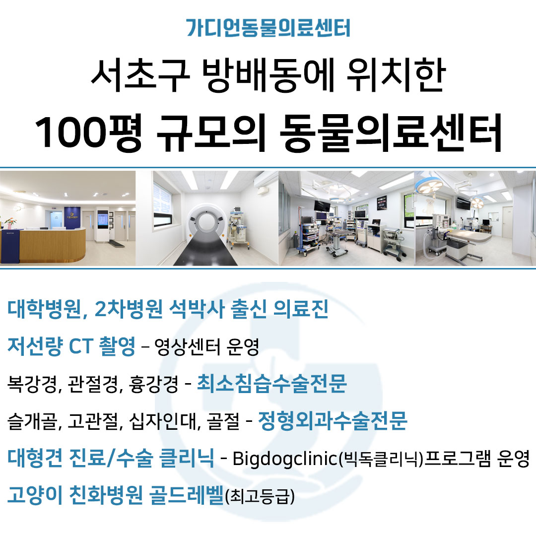 가디언동물병원 대표 이미지