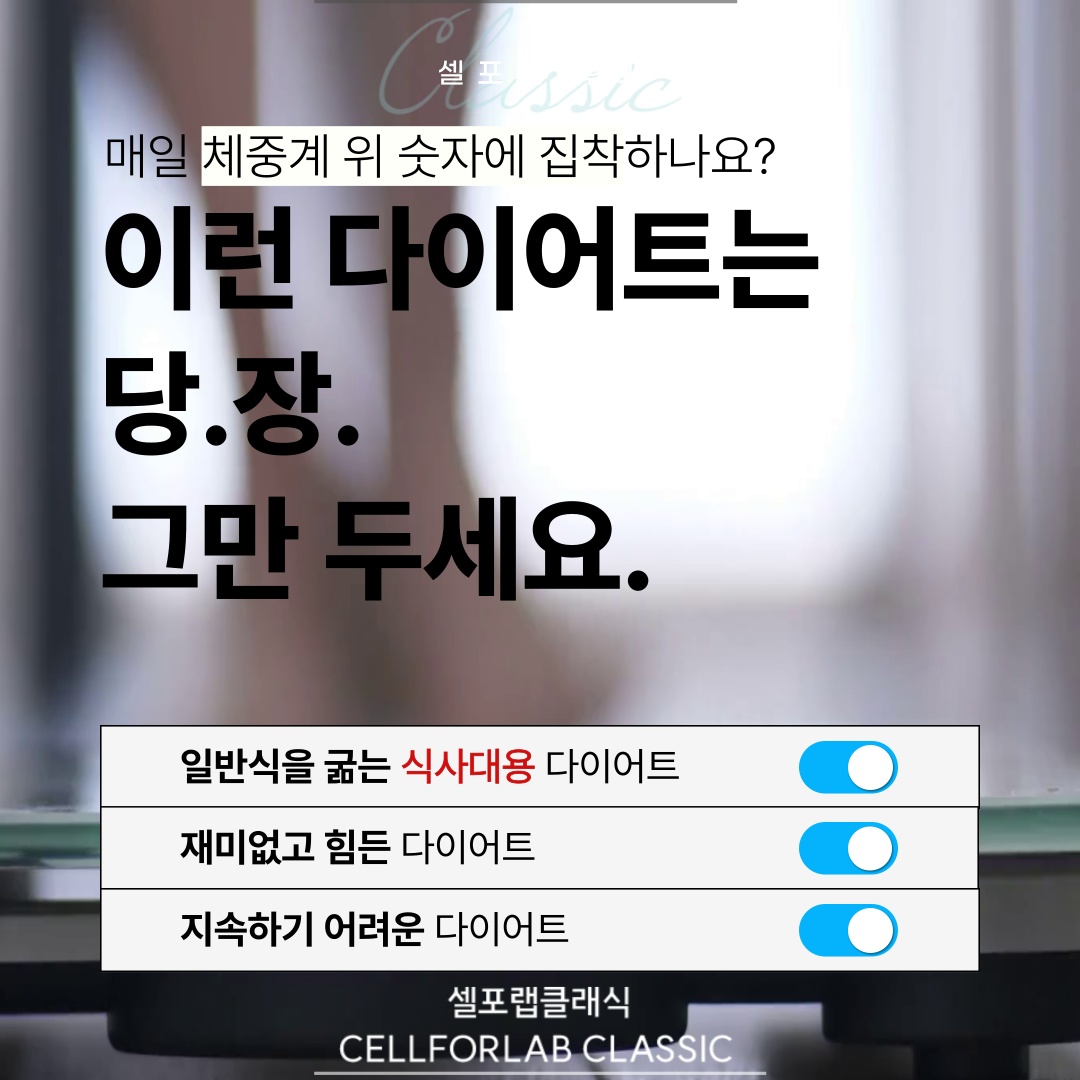 셀포랩유앤미