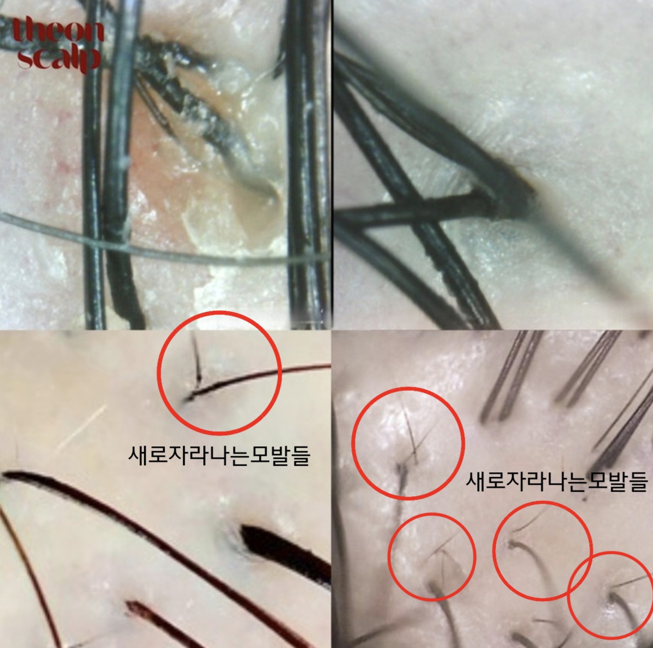 더온뷰티끄 대표 이미지