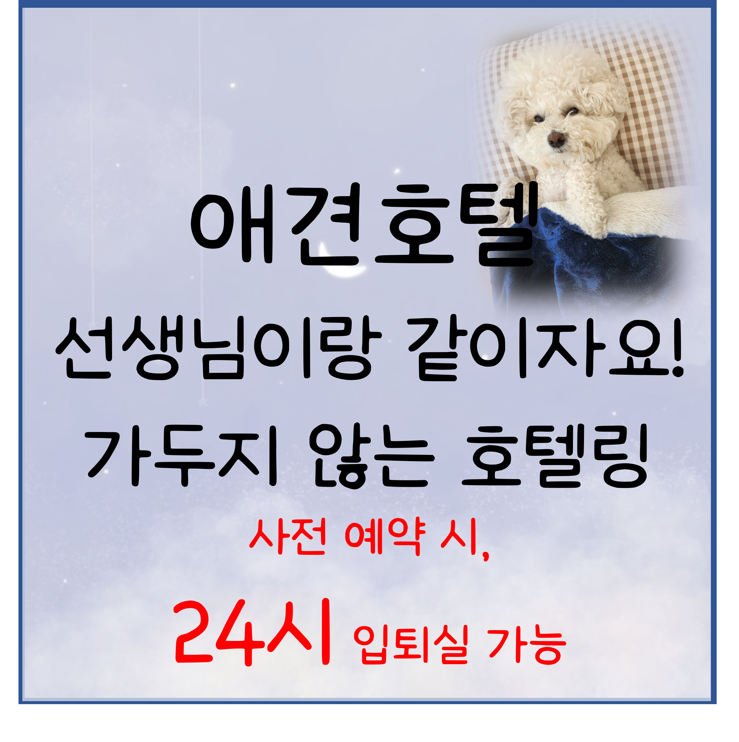 디어코코 강아지유치원&애견호텔 내부 또는 관련 모습