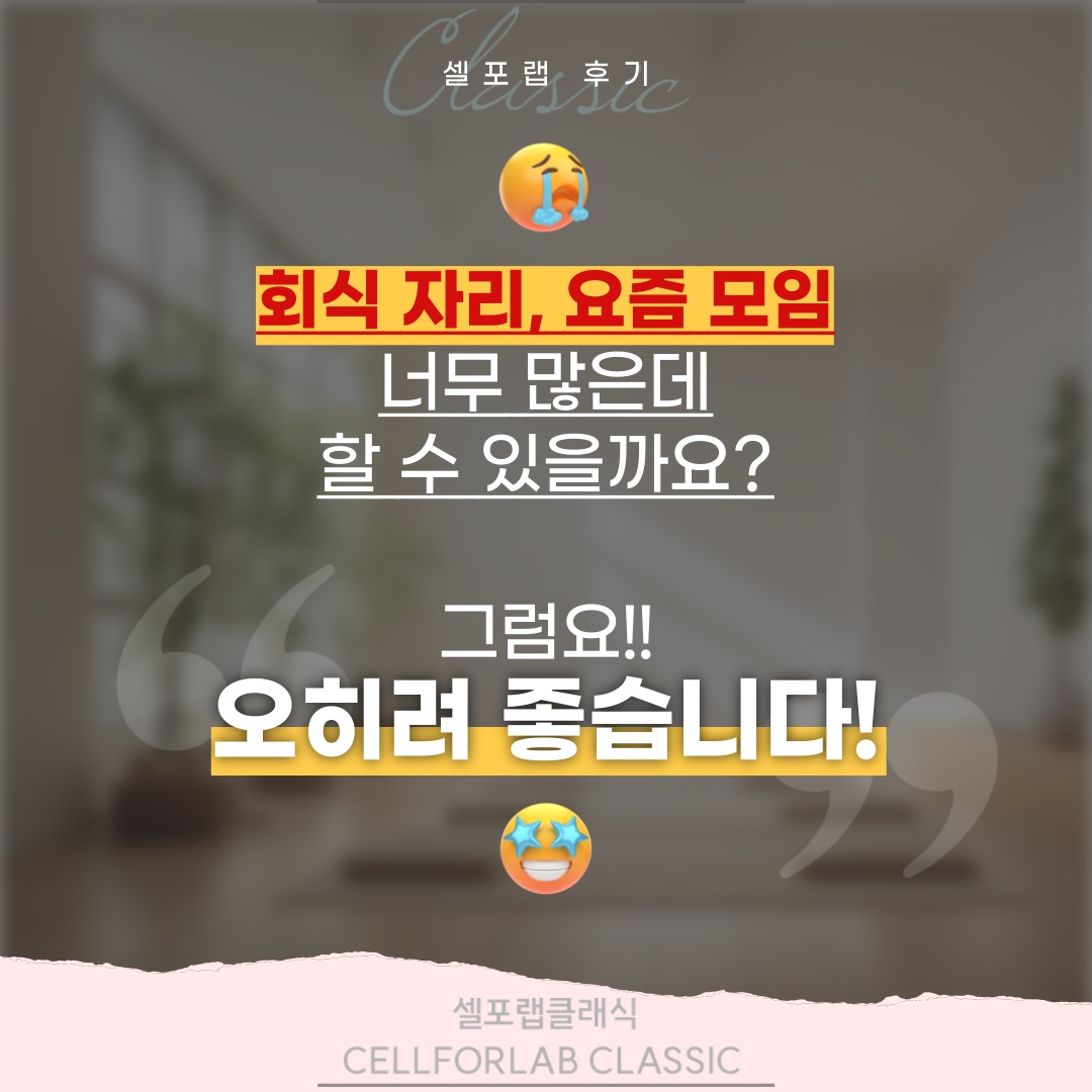 셀포랩유앤미