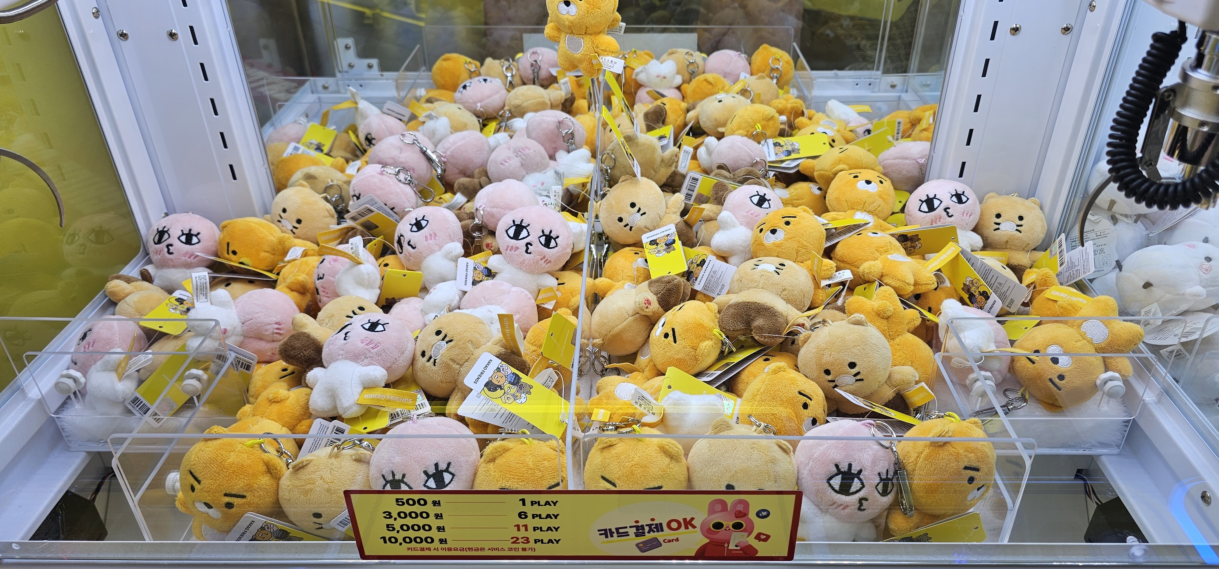 캐칭덕 오락실 숙대점