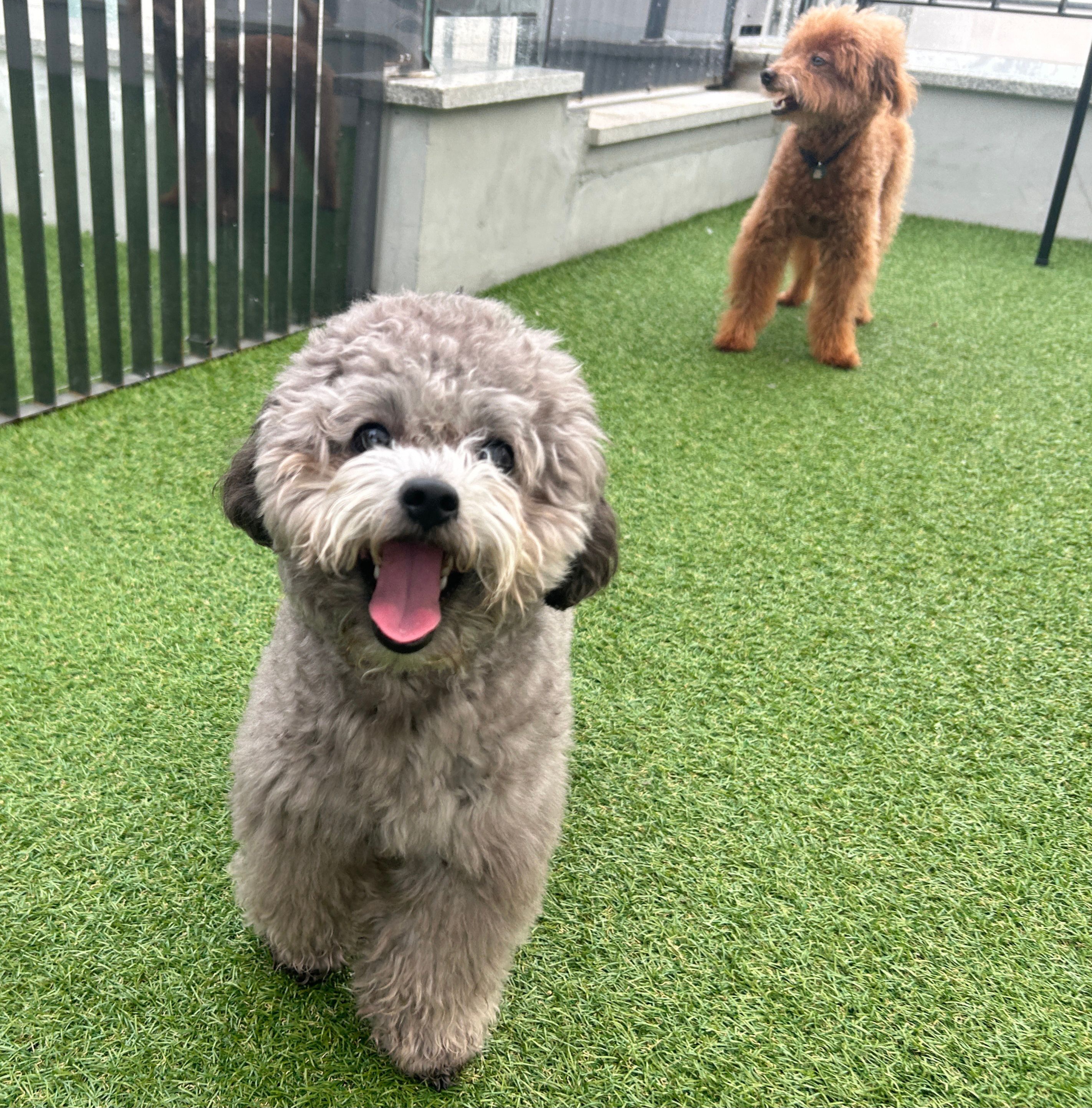 옐레드 송파헬리오시티점 대표 이미지