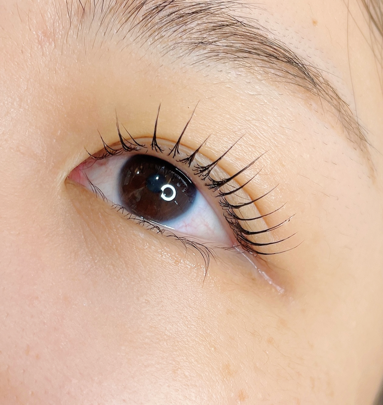 제이브로우 속눈썹&눈썹