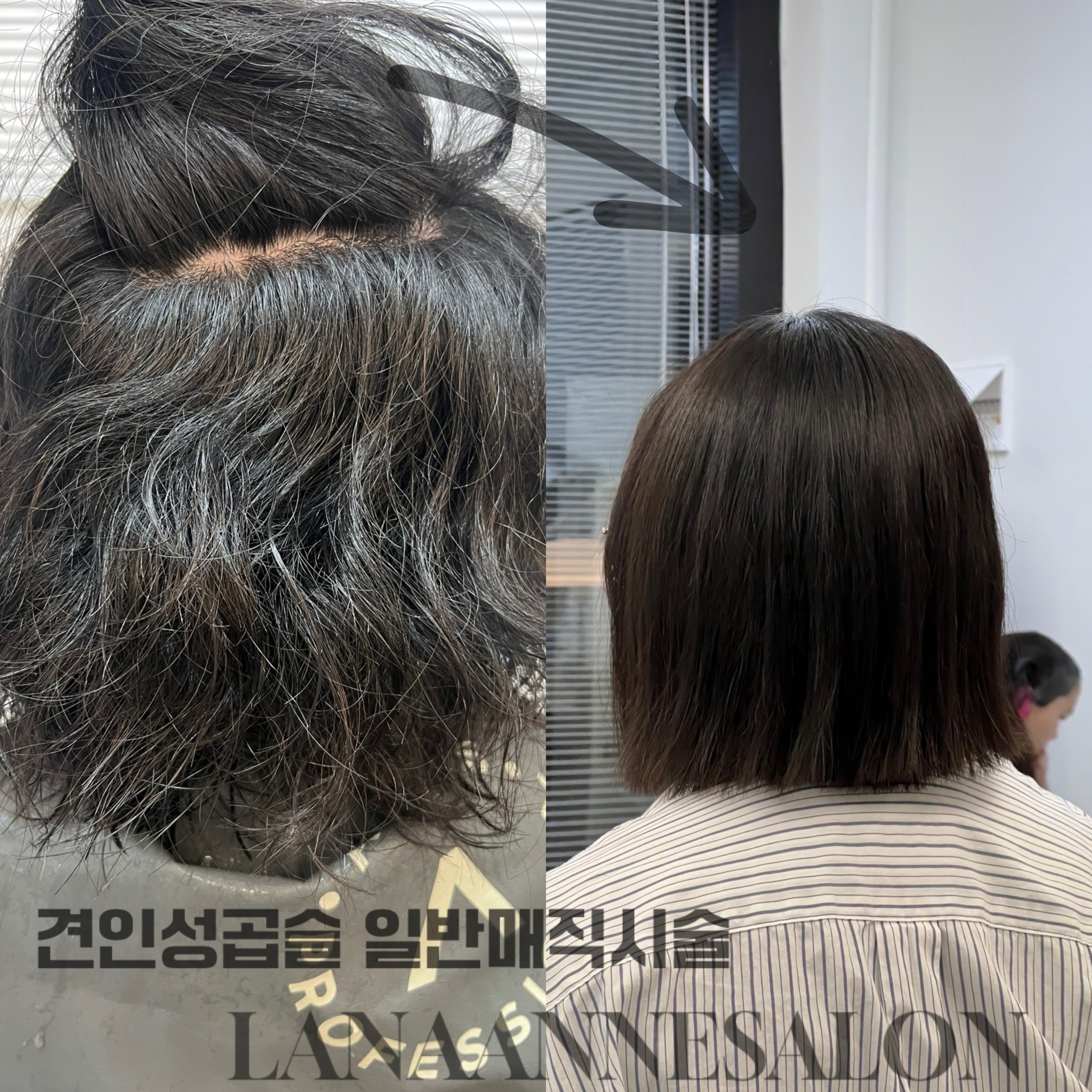 라나앤살롱
