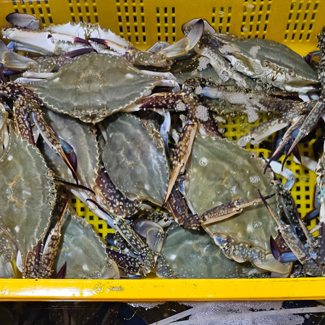 제주수산