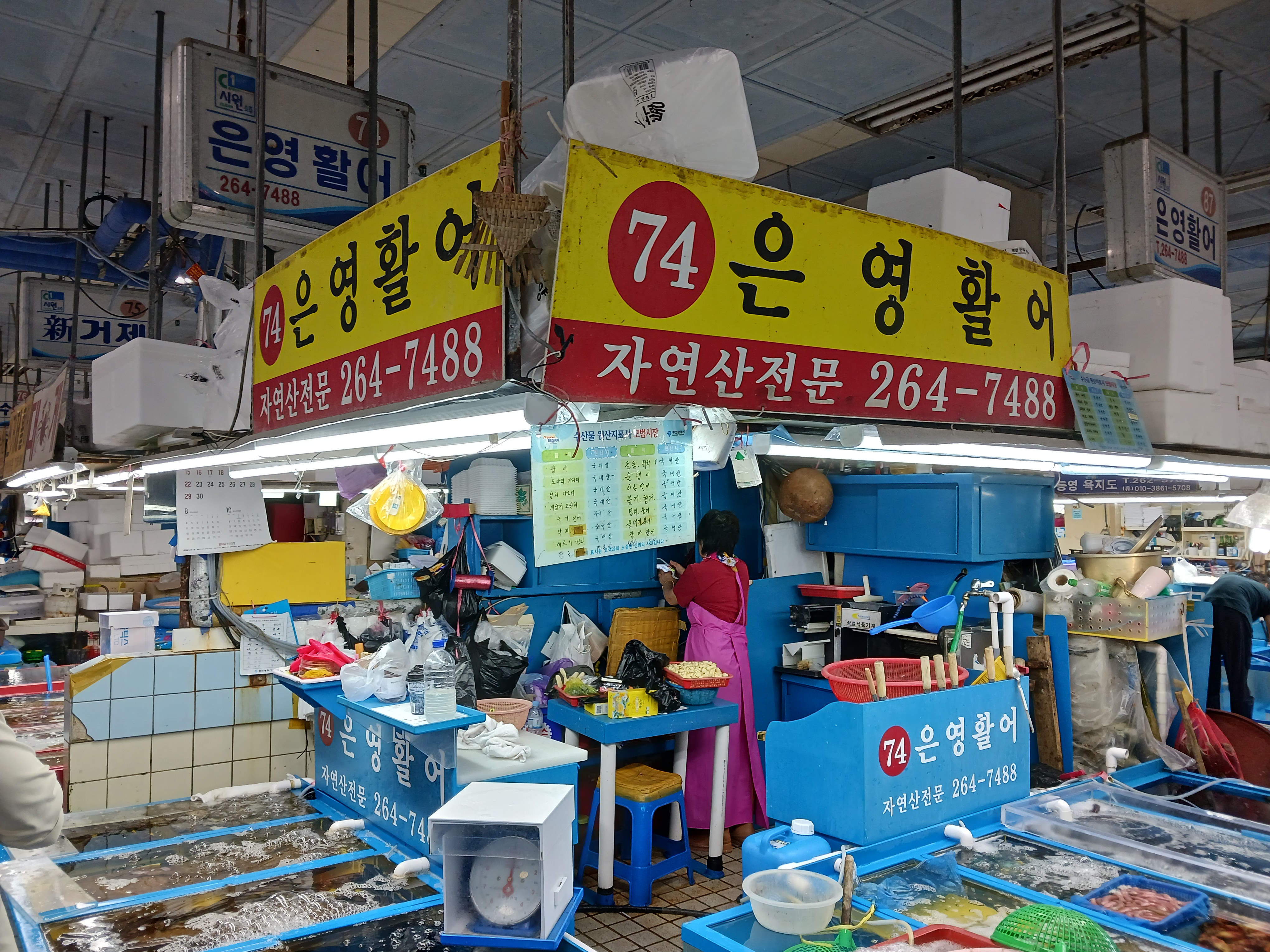 은영활어