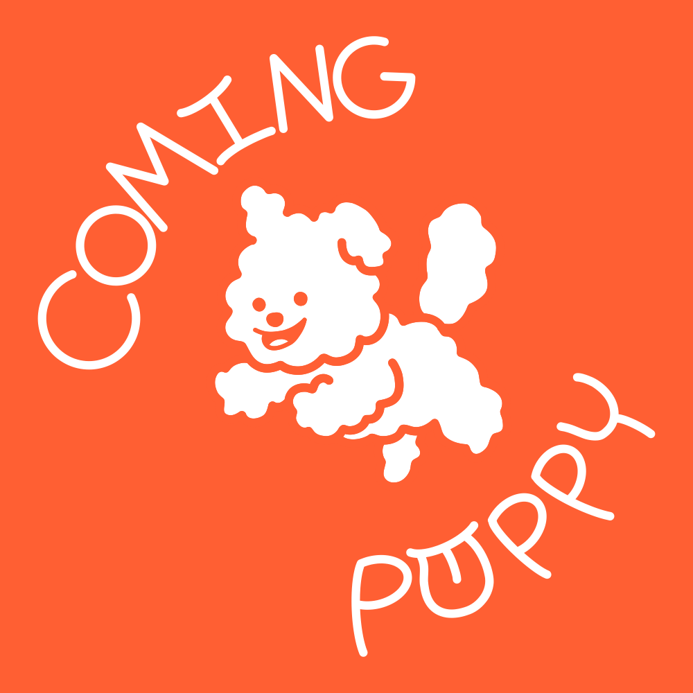 커밍퍼피 대표 이미지