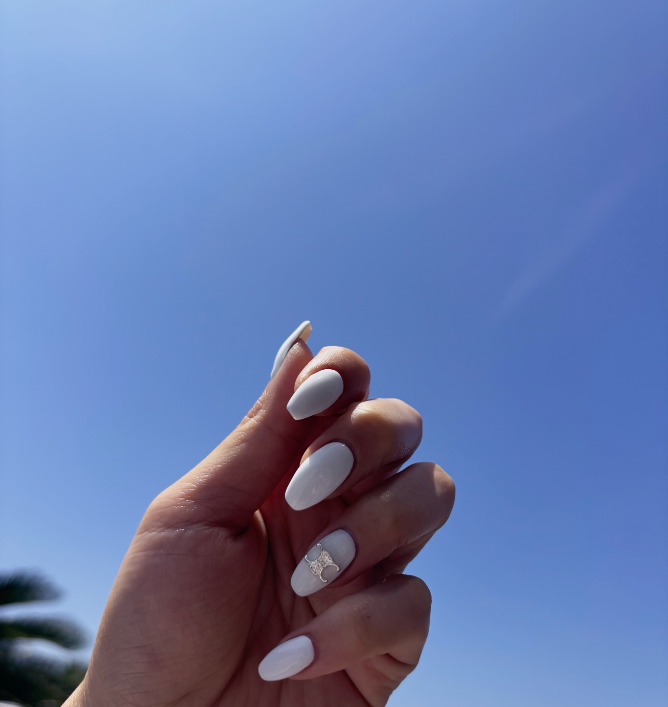 네일도도