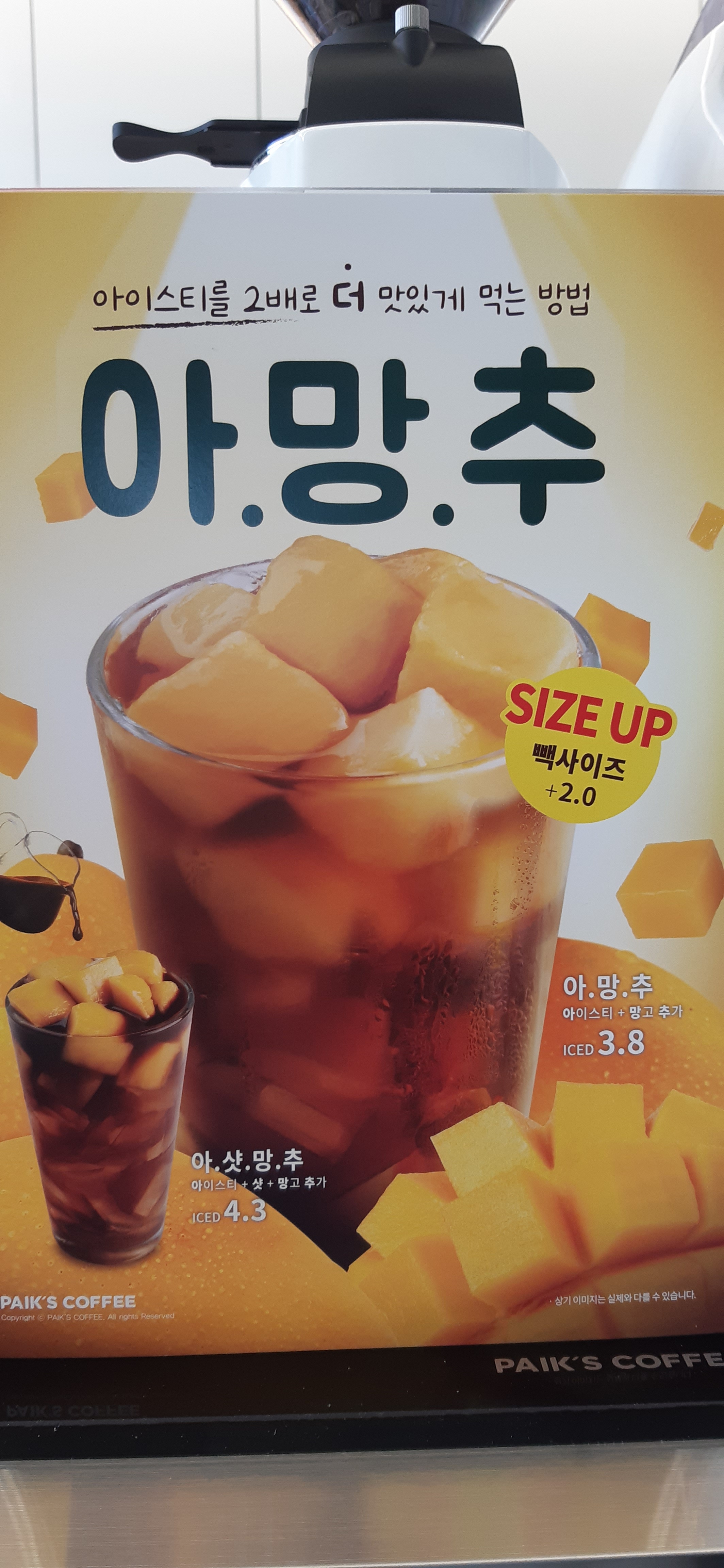 빽다방 대구군위점 반려동물 동반 애견카페