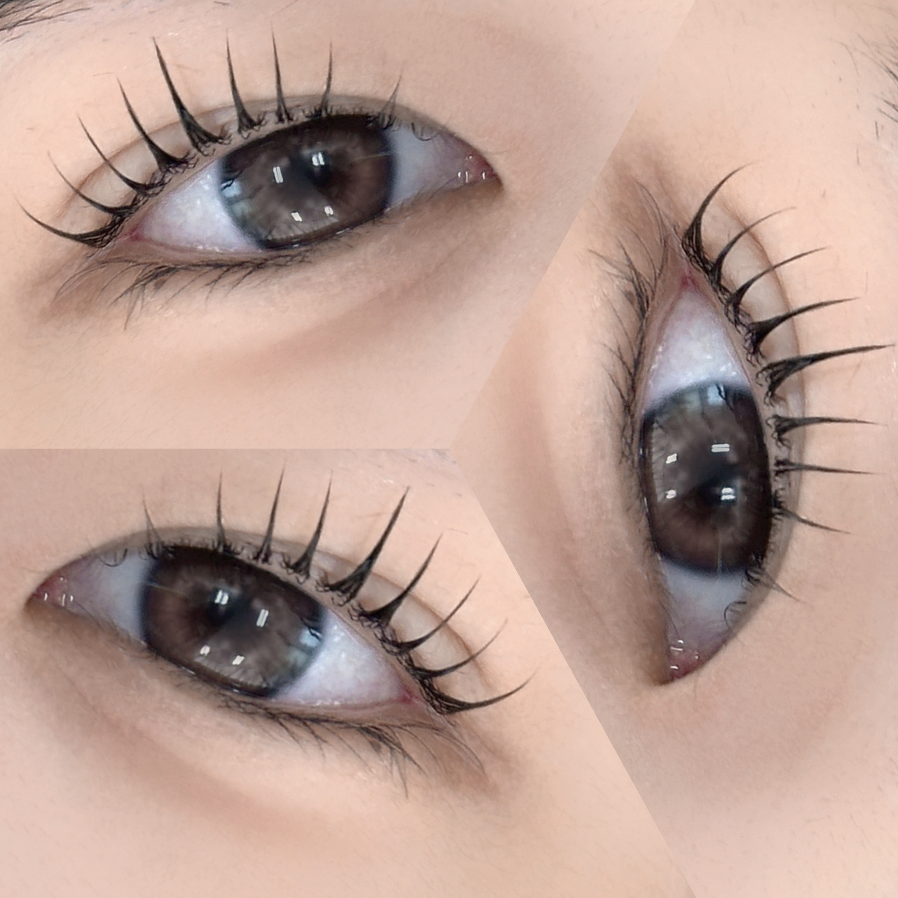 충주한올 대표 이미지