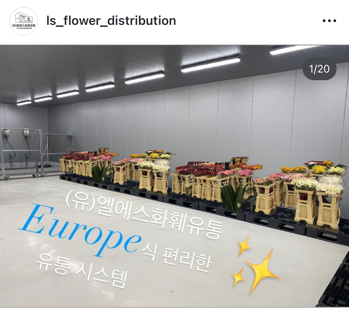 엘에스화훼유통