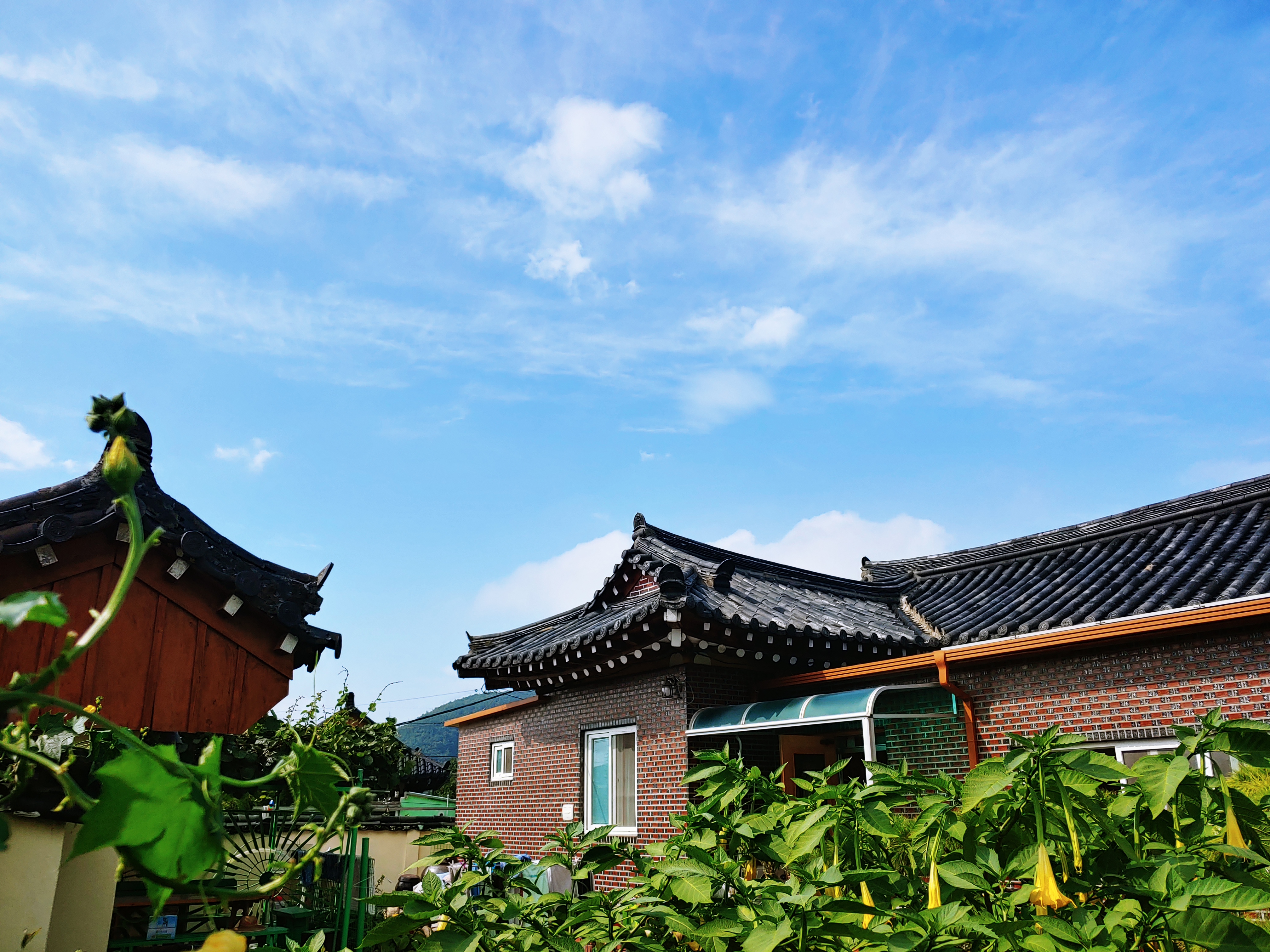 숲머리민박