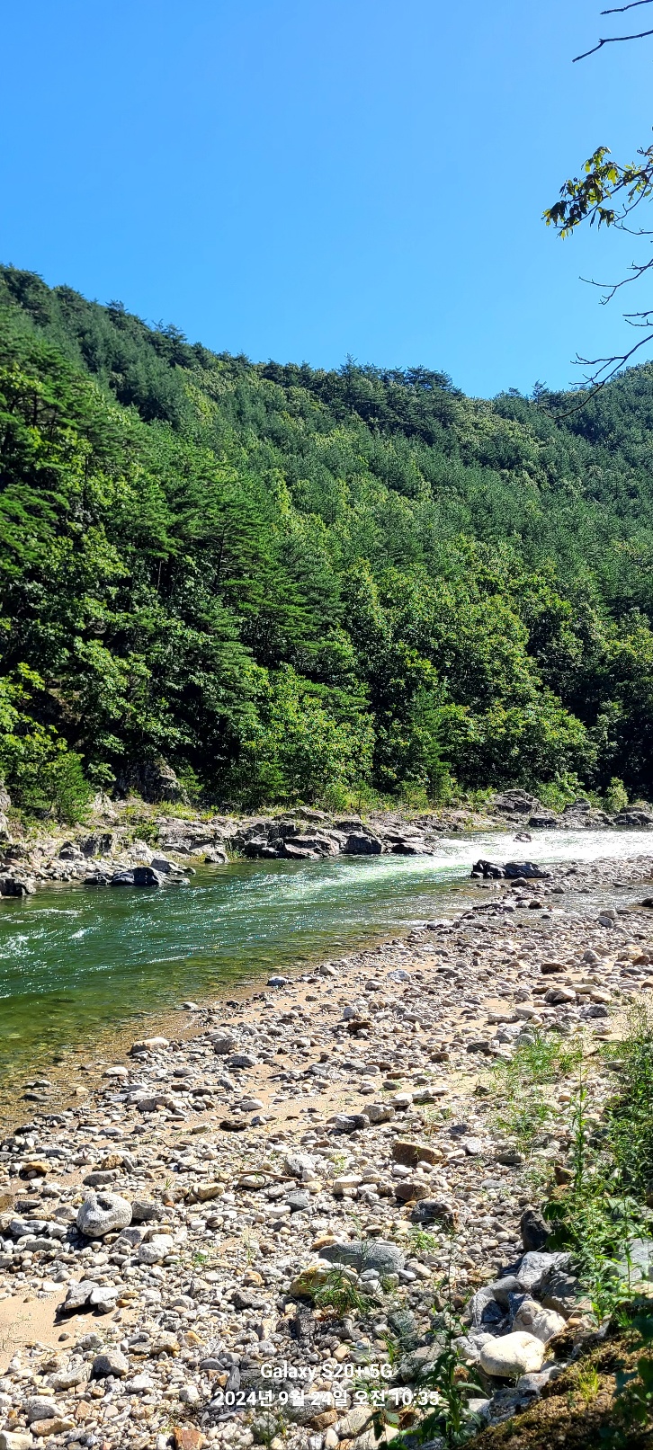 밸리캠핑장