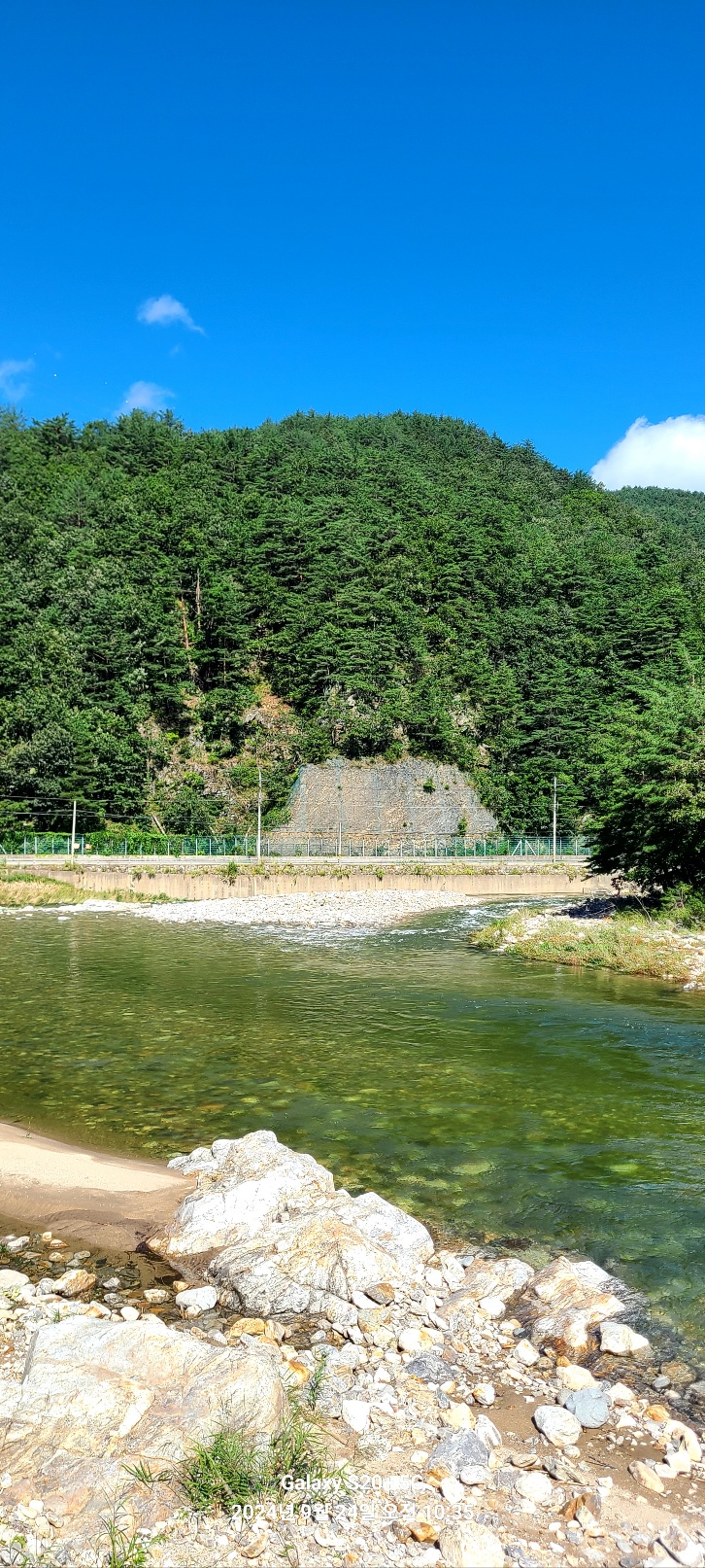 밸리캠핑장