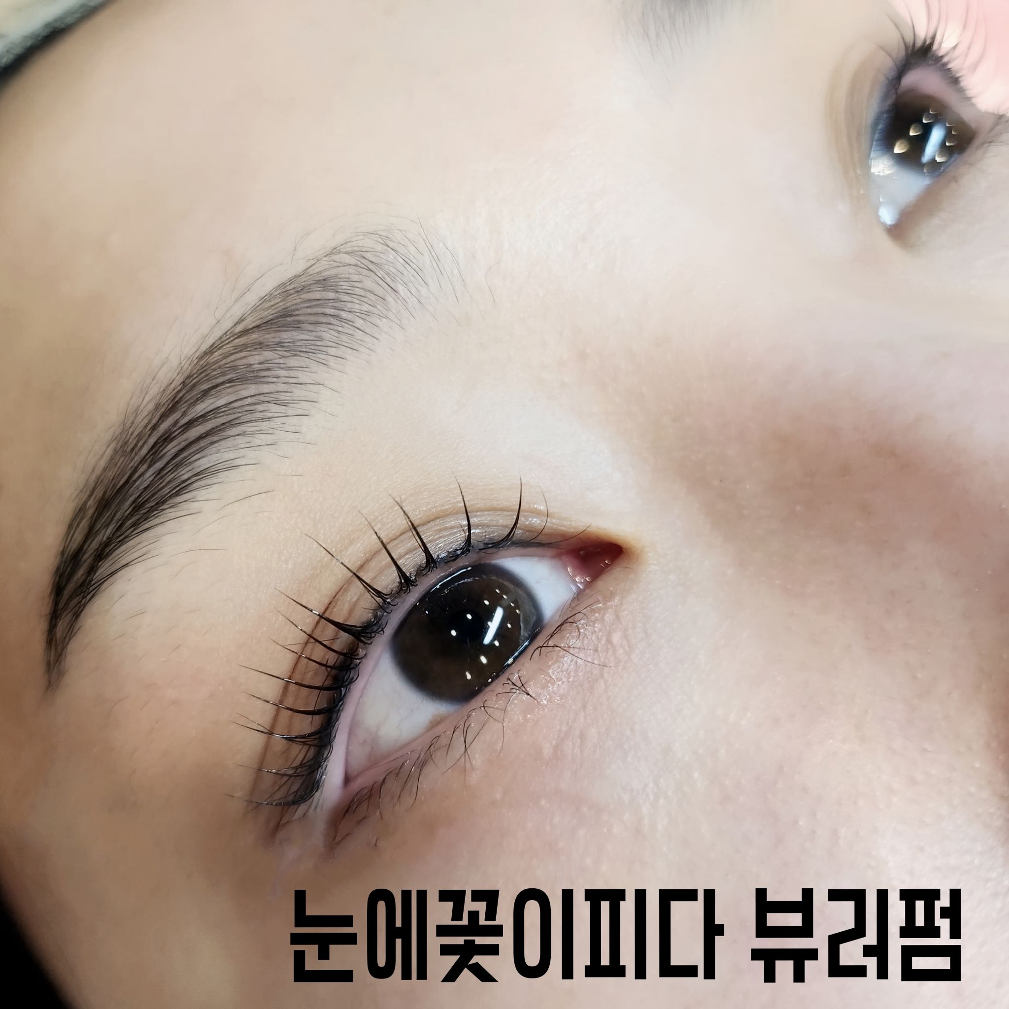 눈에꽃이피다