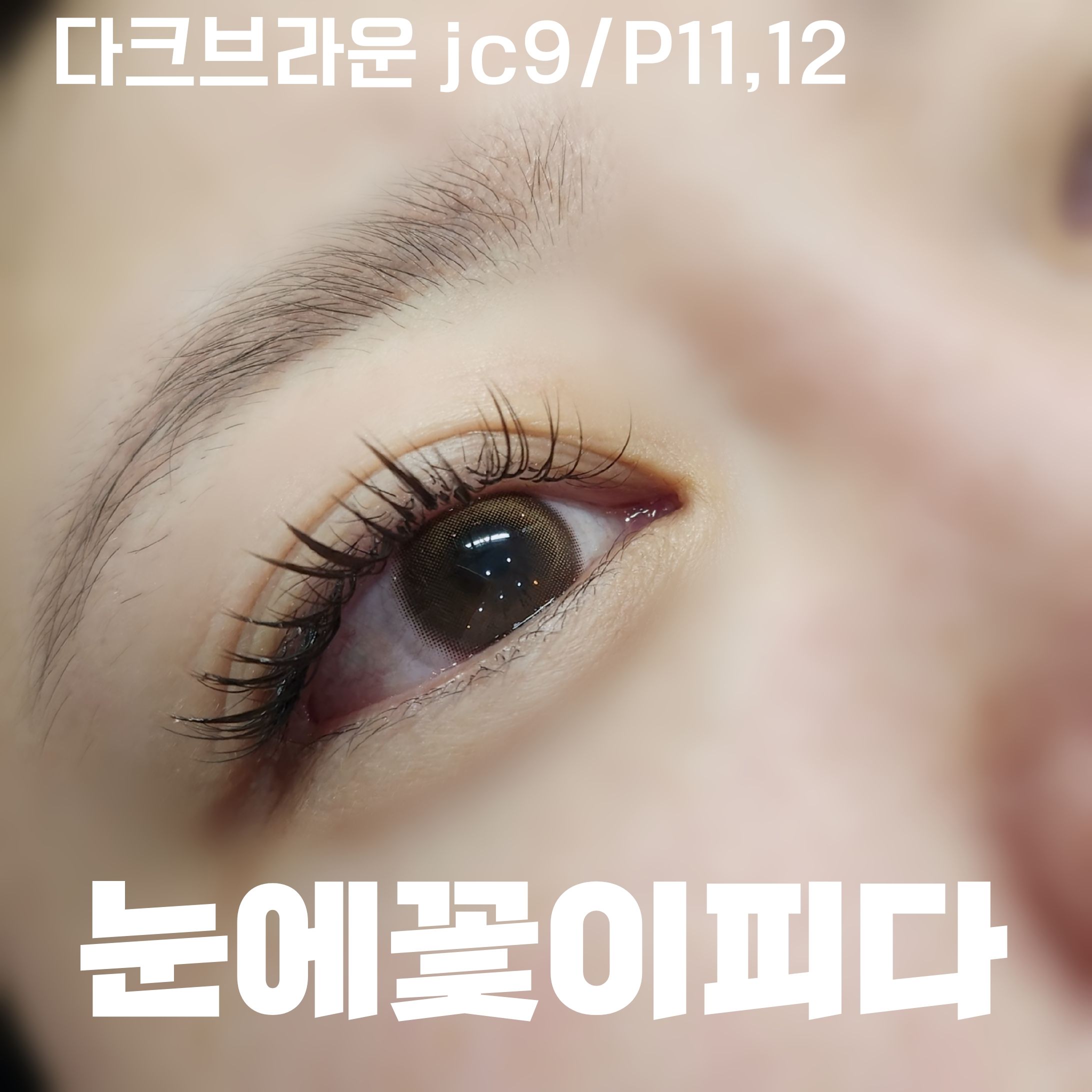 눈에꽃이피다