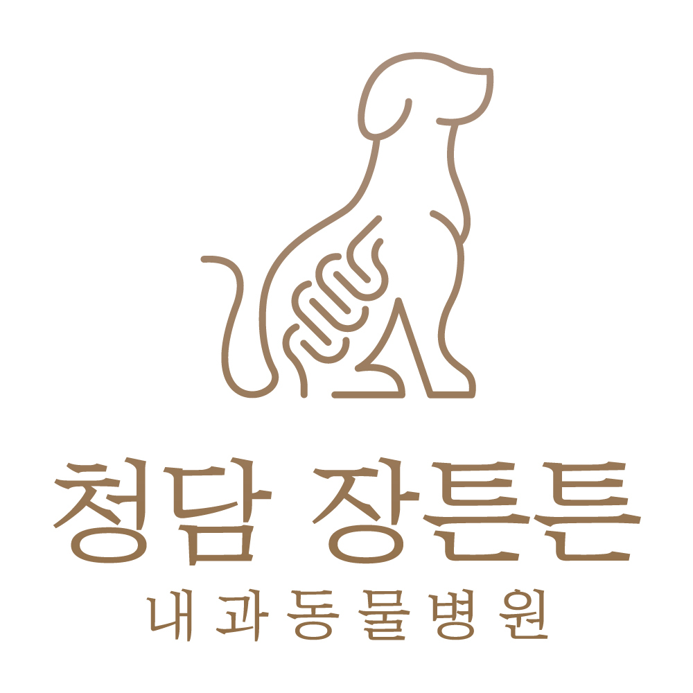 청담 장튼튼내과동물병원 대표 이미지