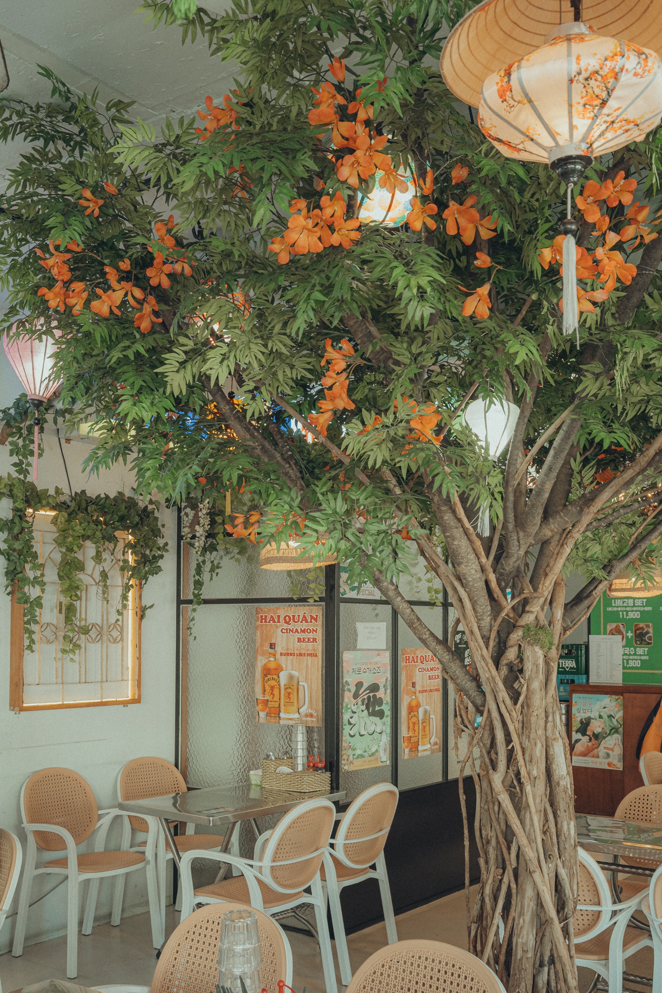 하이콴 대표 이미지