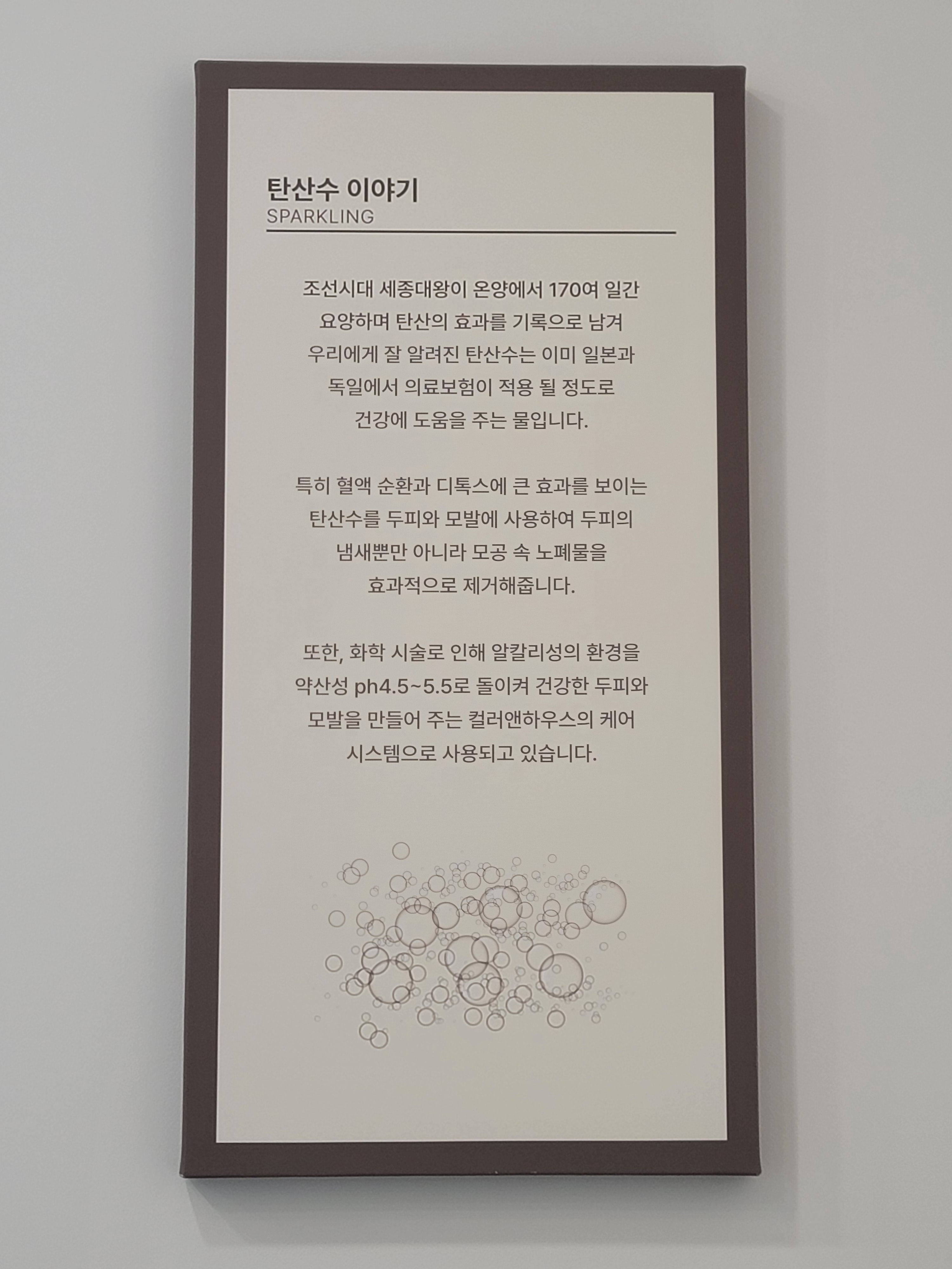 컬러앤하우스 서초점