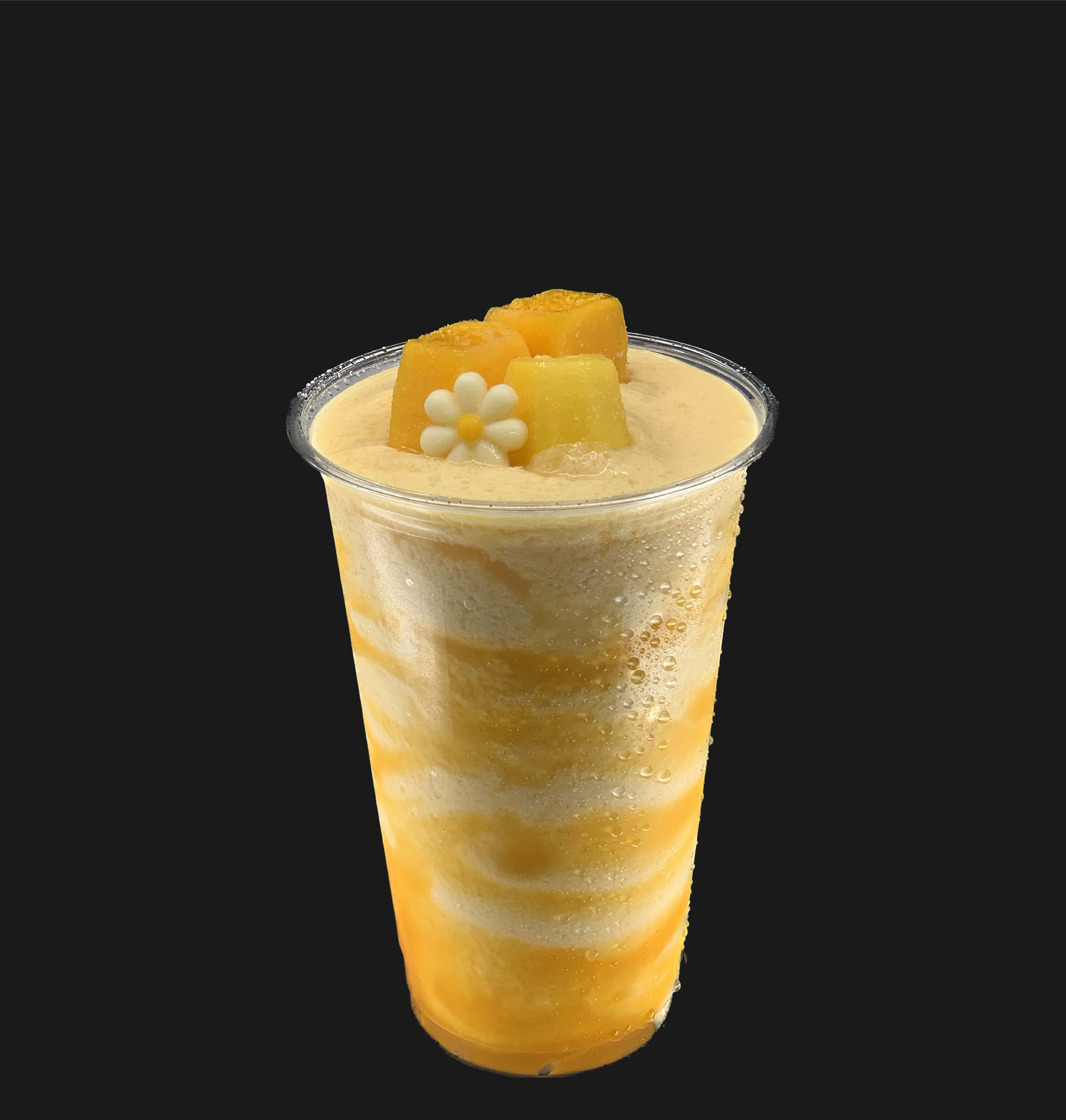 카페니치 산성점