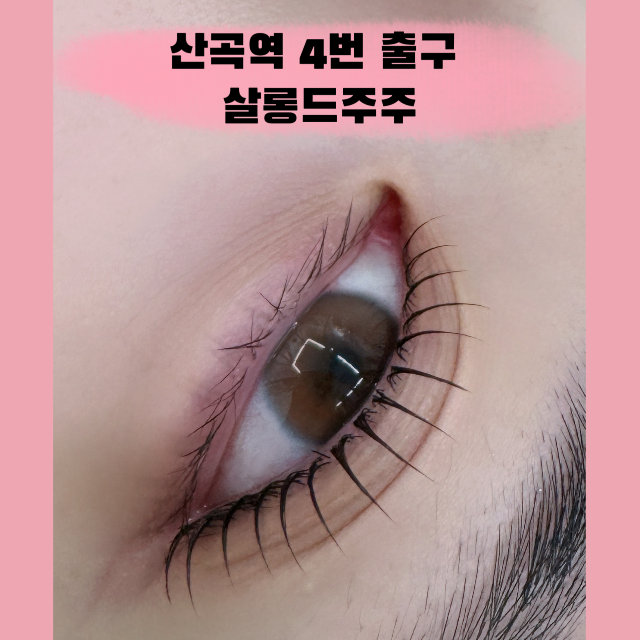 살롱드주주