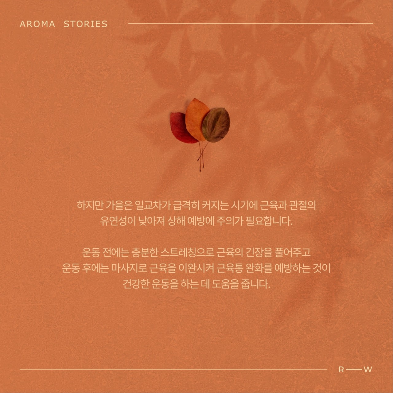 다감스킨앤슈가링왁싱