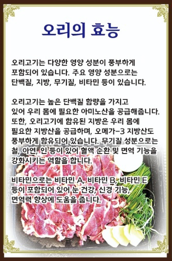 황금오리