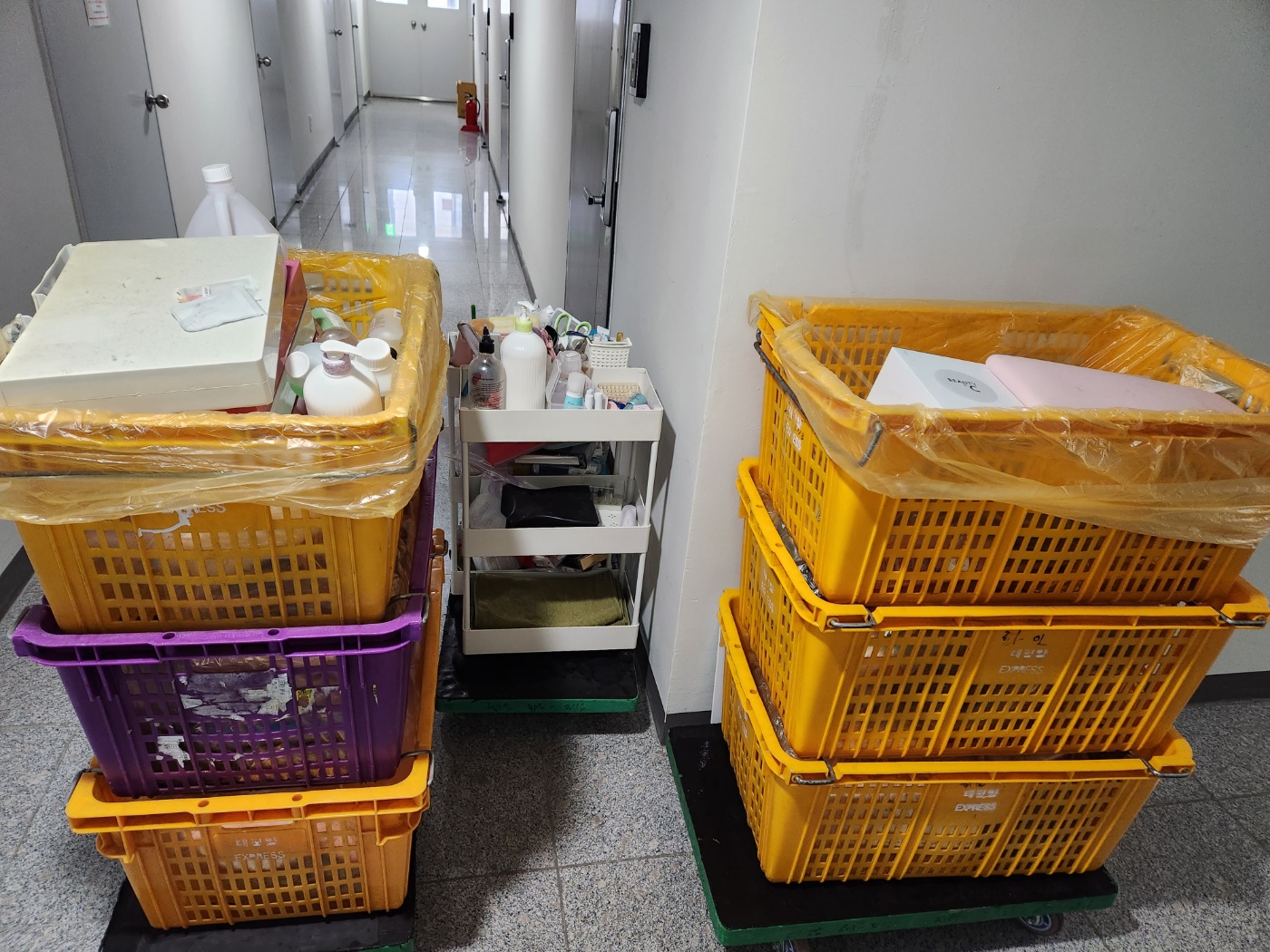 태평양익스프레스 대표 이미지