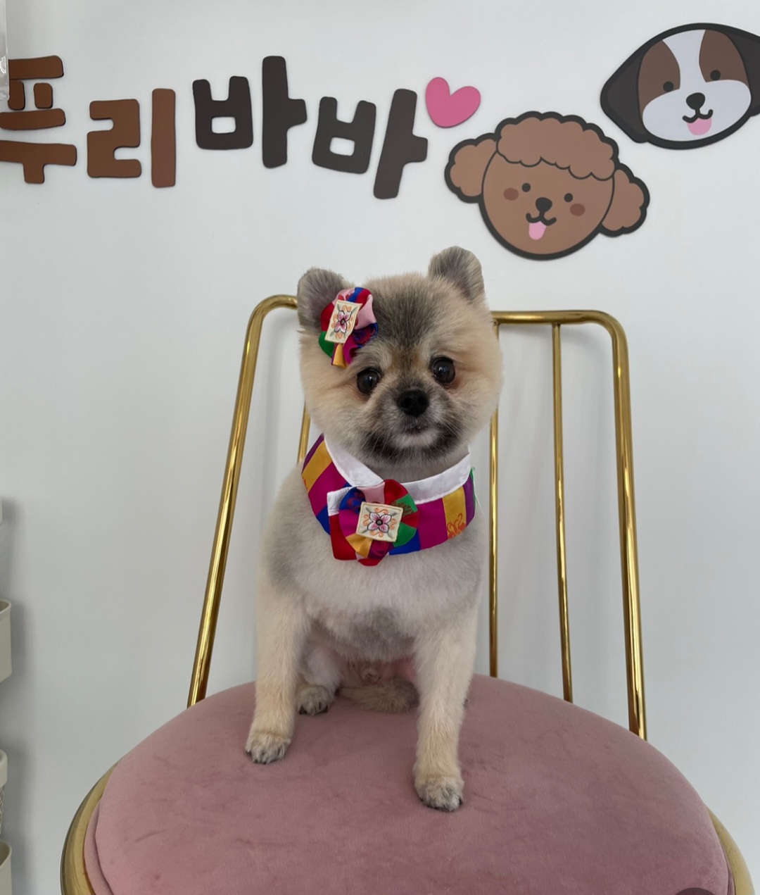 푸리바바