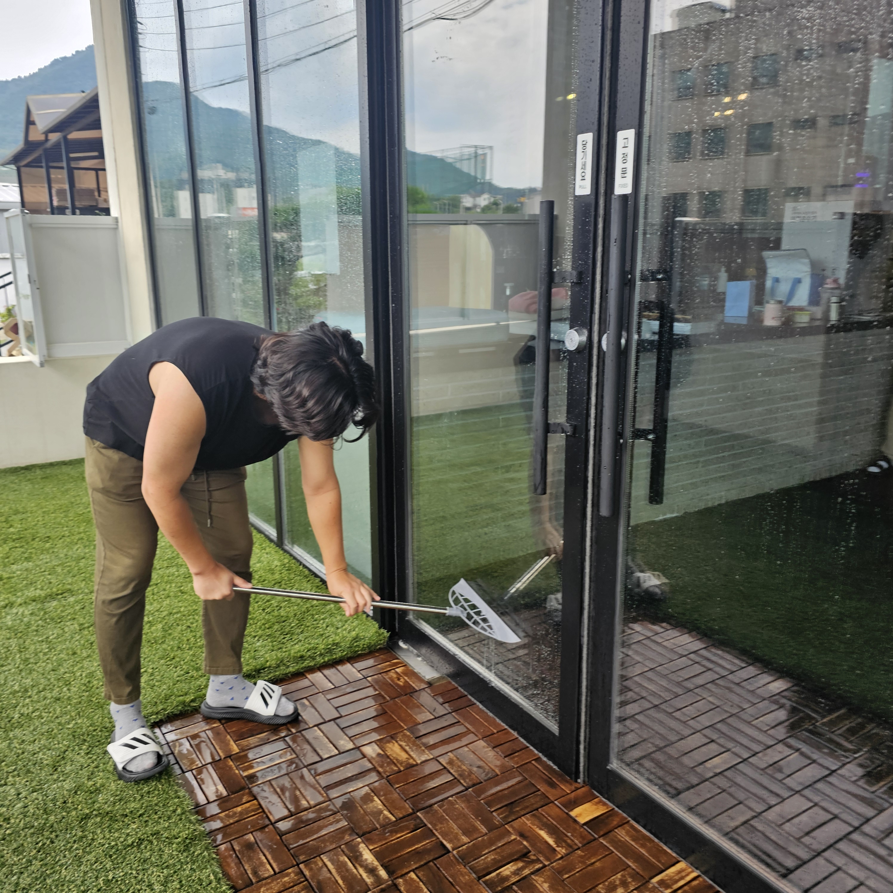 도담 애견유치원 대표 이미지