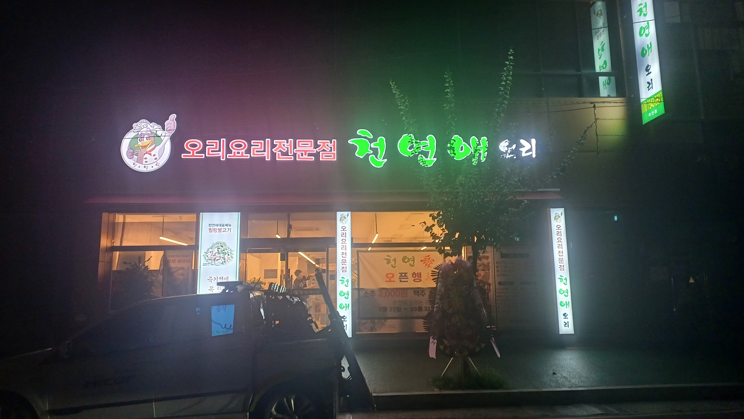천연애오리