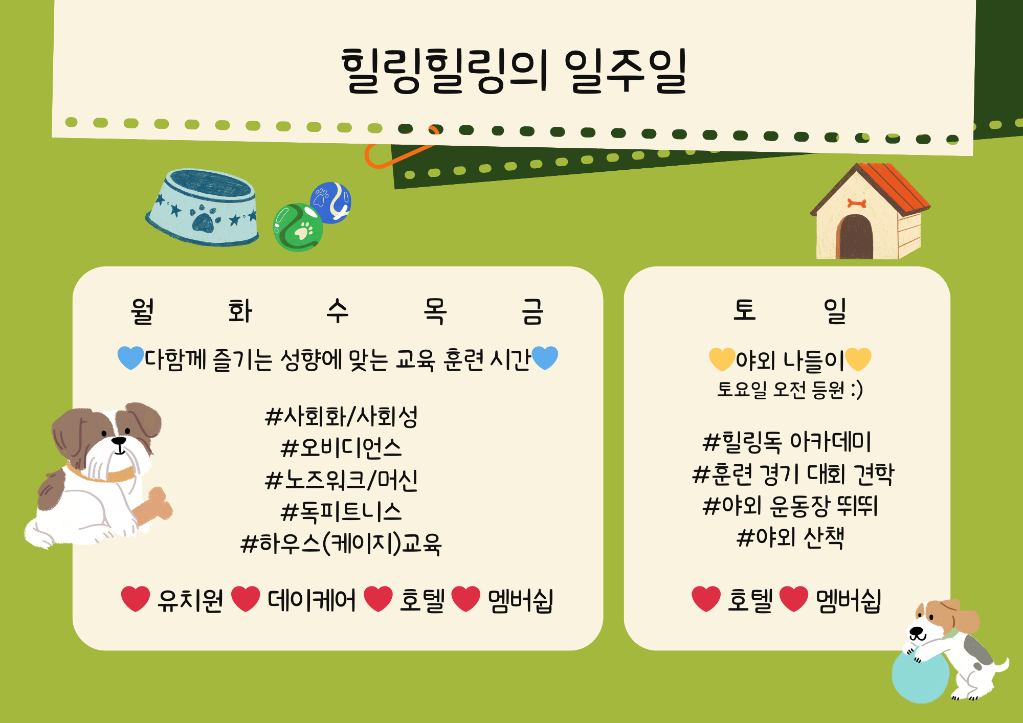 힐링힐링 강아지유치원&강아지호텔 대표 이미지